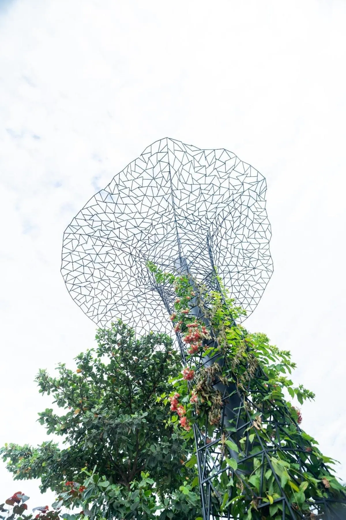 Property building in Forrest