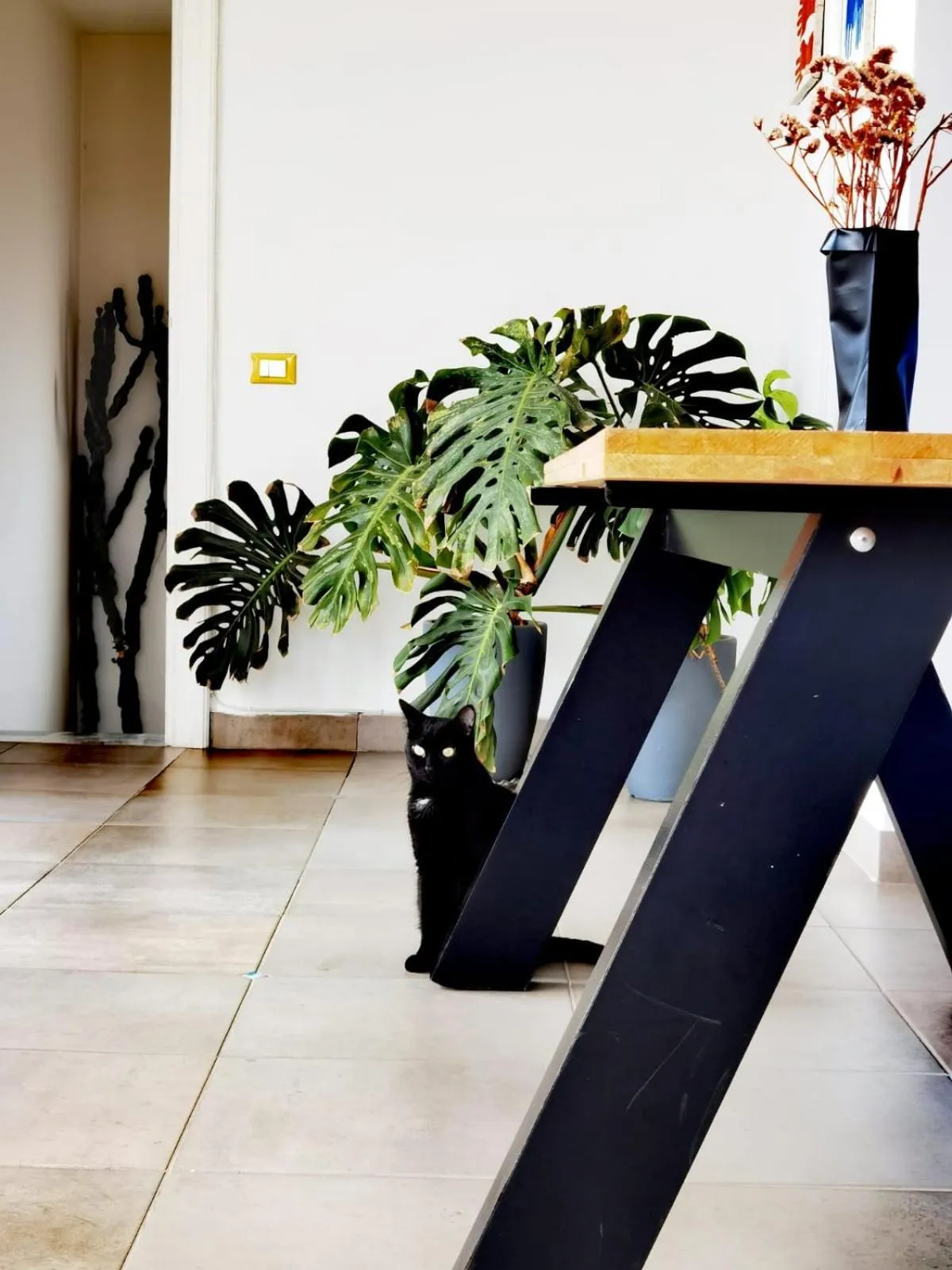 Lobby or reception in Re Merlo