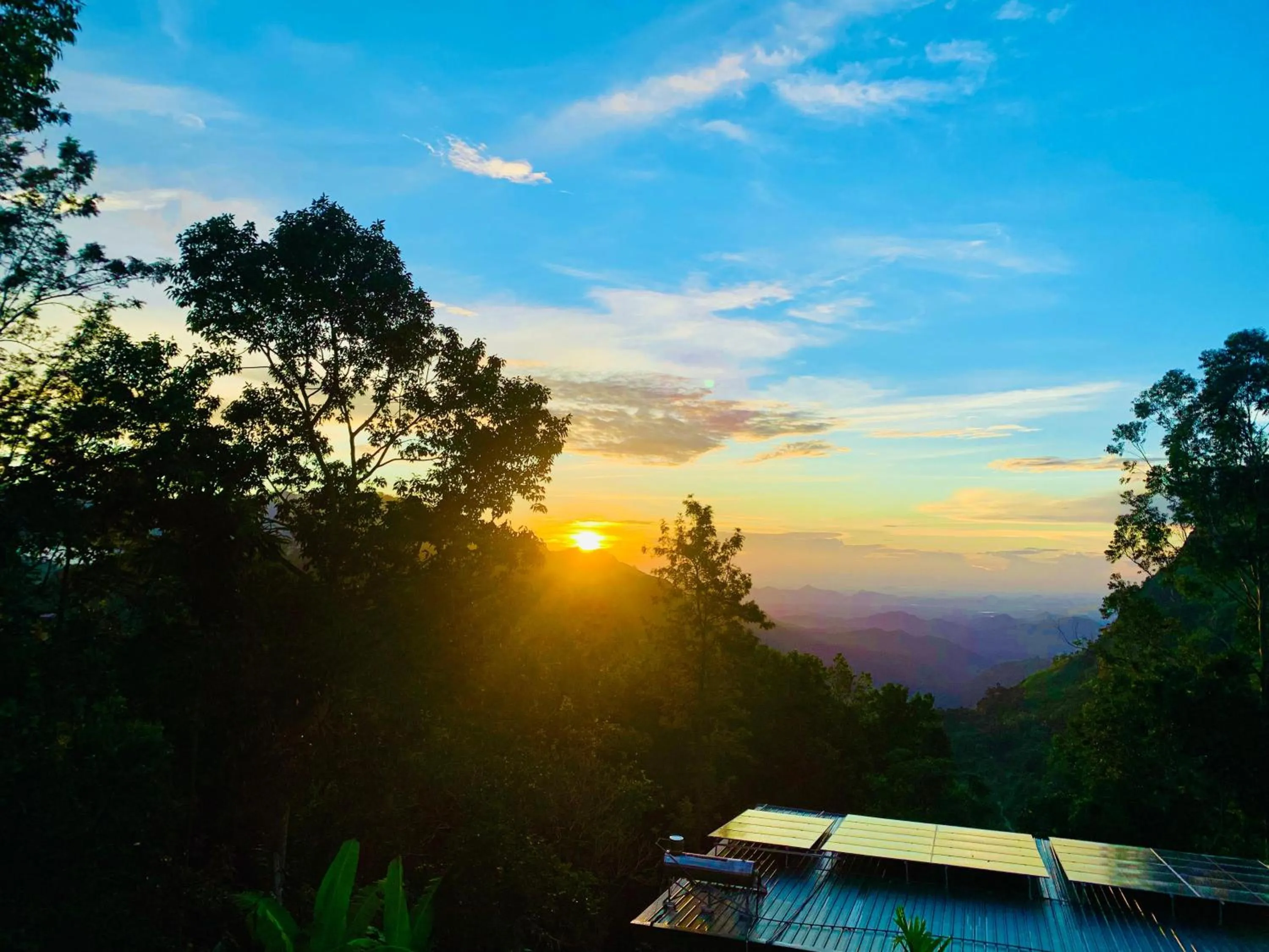 Eco Salient View