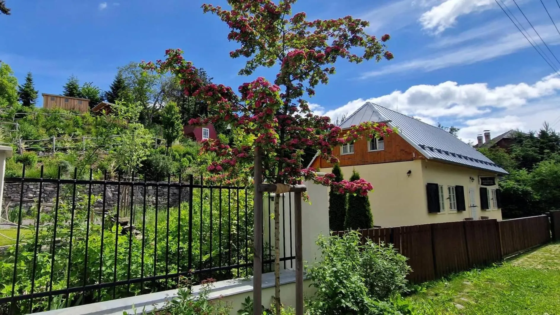 Property building in Banícky dom Siglisberg