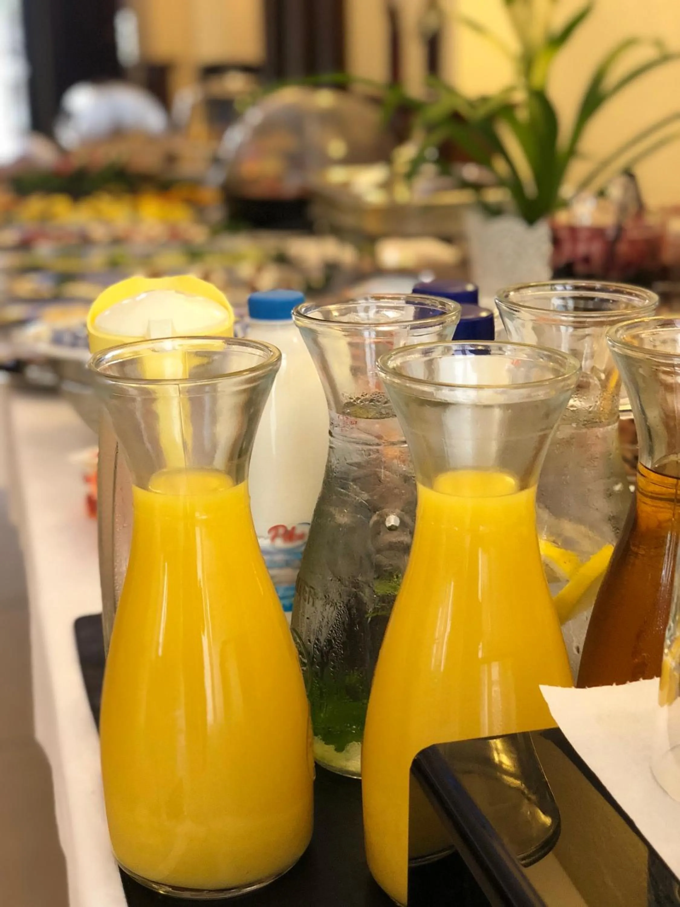 Food and drinks in Guest House Neho