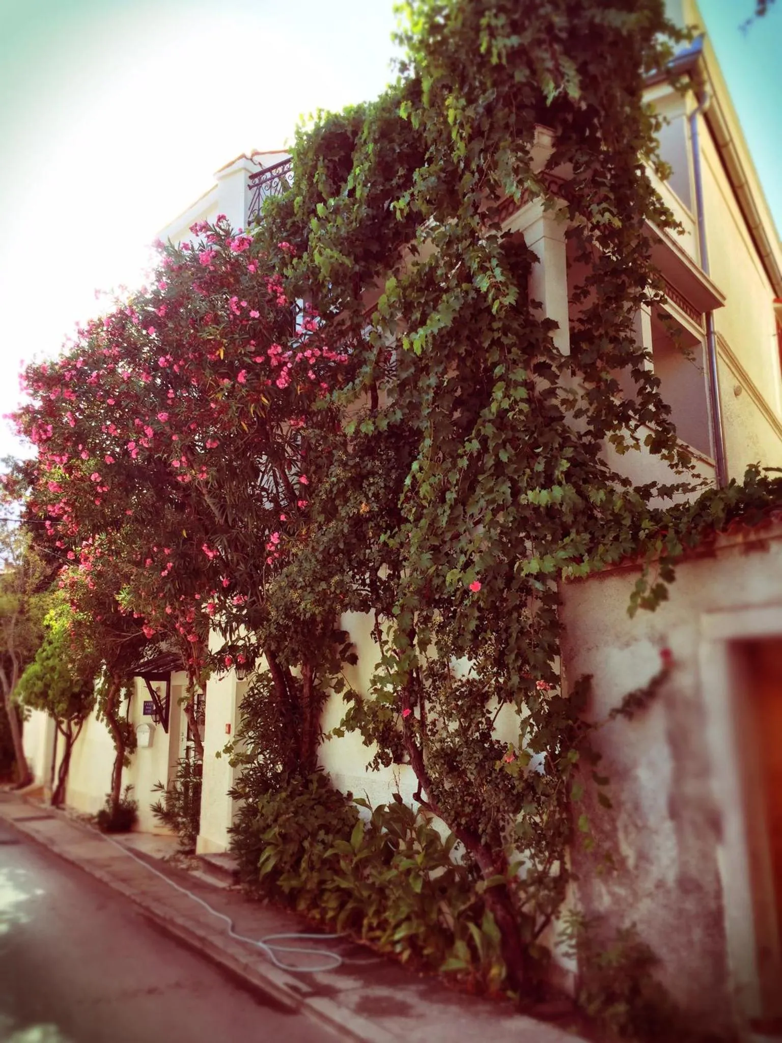 Spring in Guest House Neho