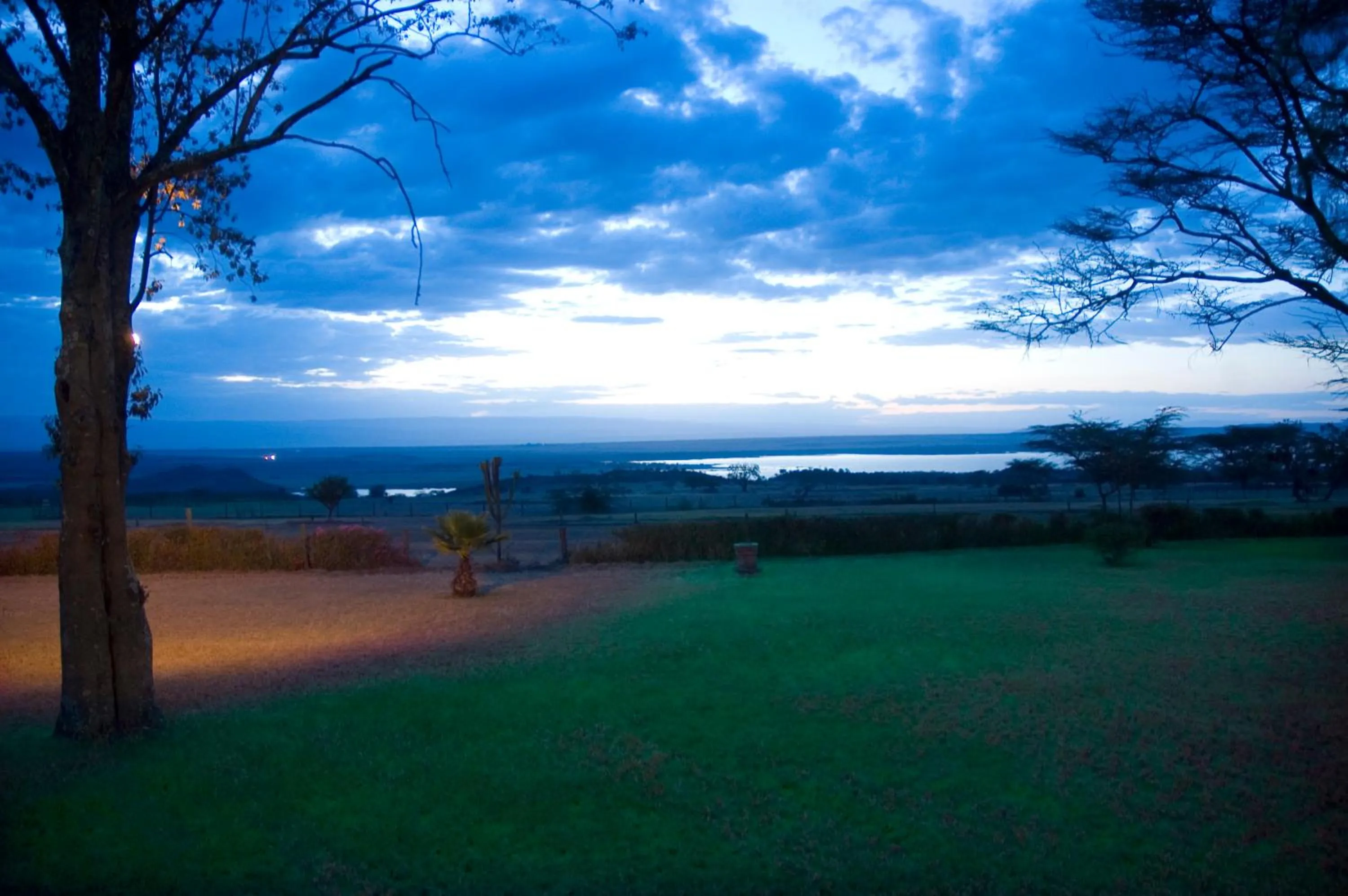 Garden in Jacaranda Lake Elementaita Lodge