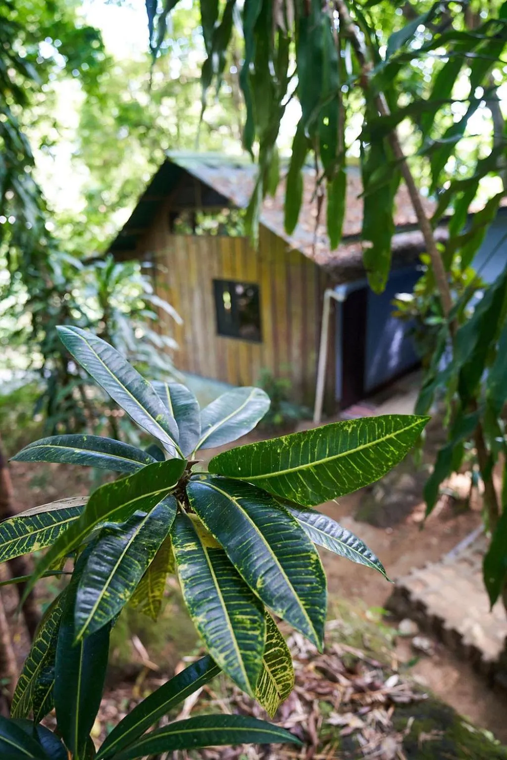 Luz En El Cielo Eco-B&B/Hostel