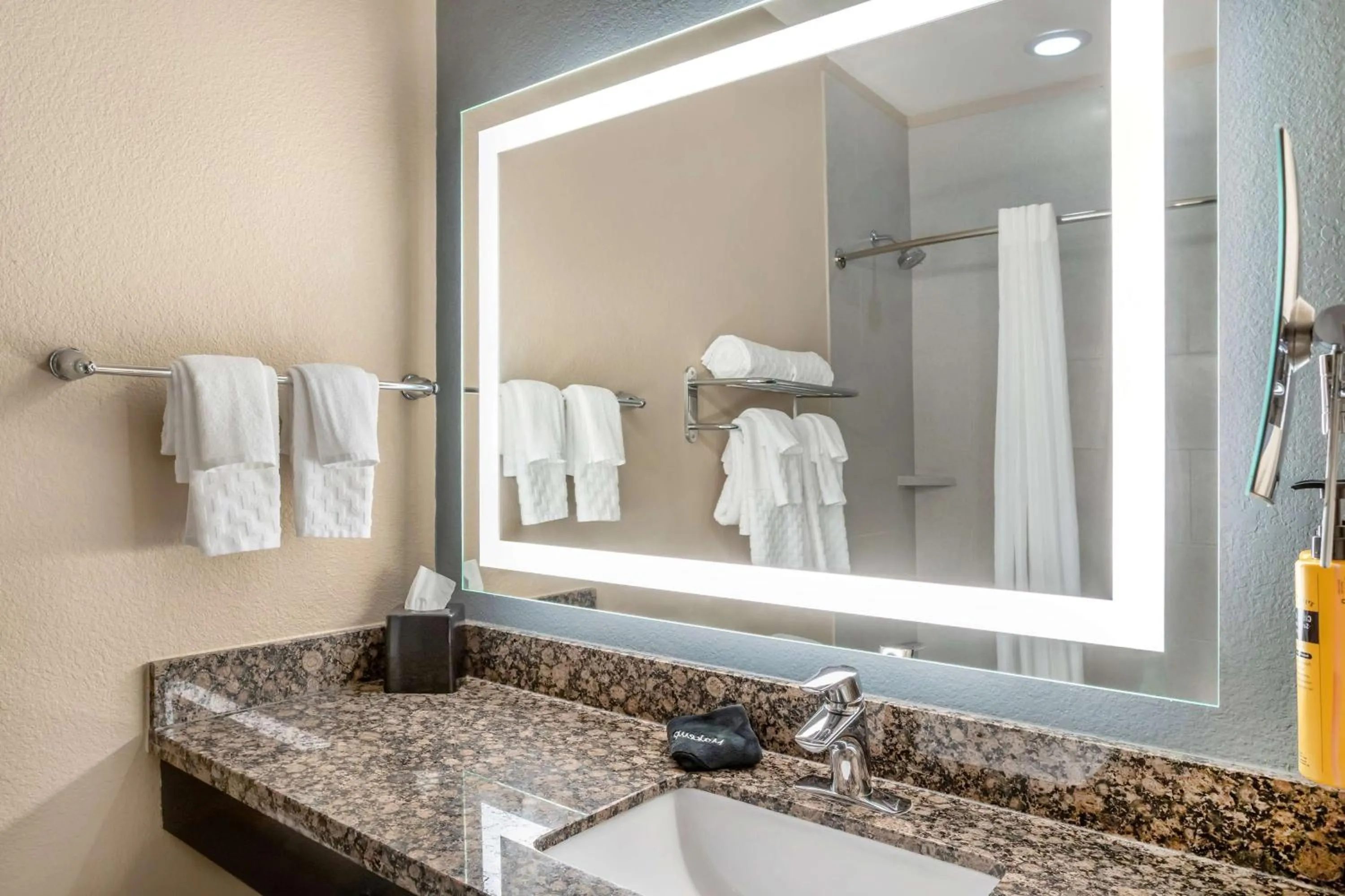 Bathroom in Best Western Plus Lake Jackson Inn & Suites