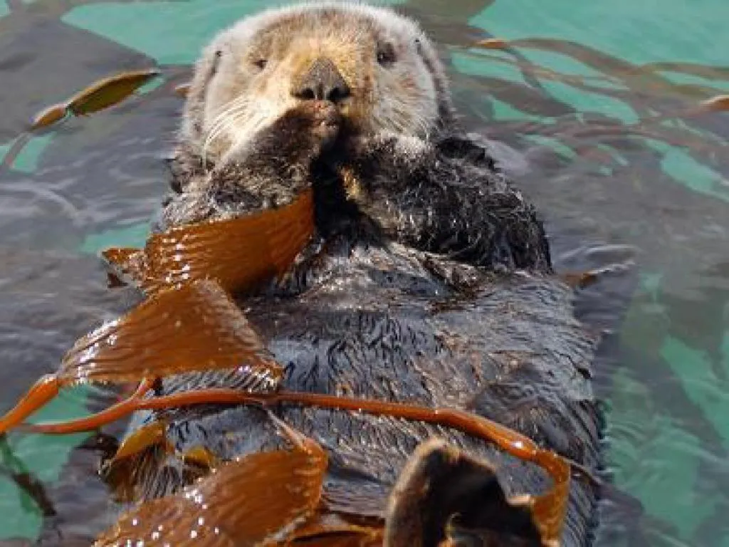 View (from property/room) in Estero Inn