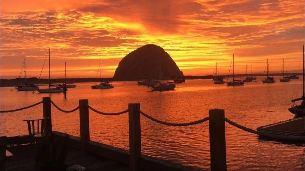 View (from property/room) in Estero Inn