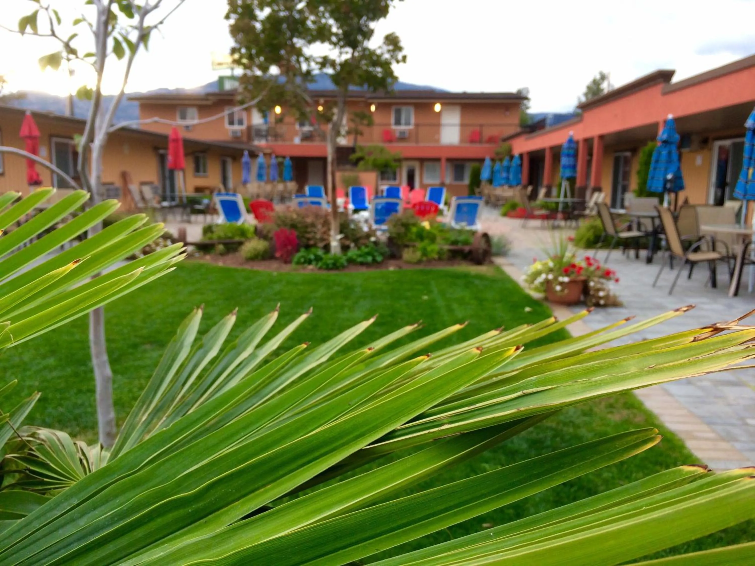 Property building in Sahara Suites