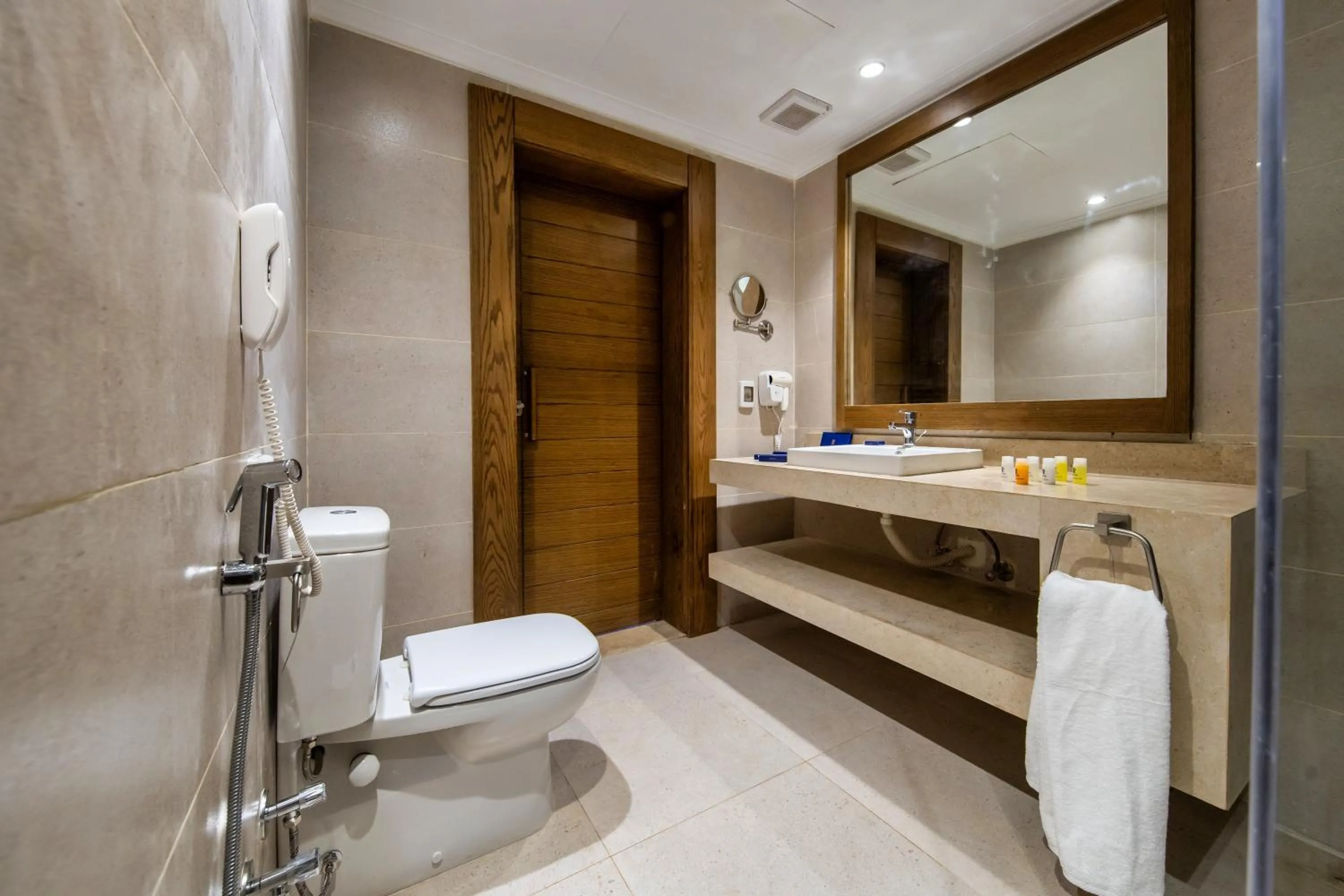 Double Room - single occupancy in Retac Abu Simbel Nefertari Hotel