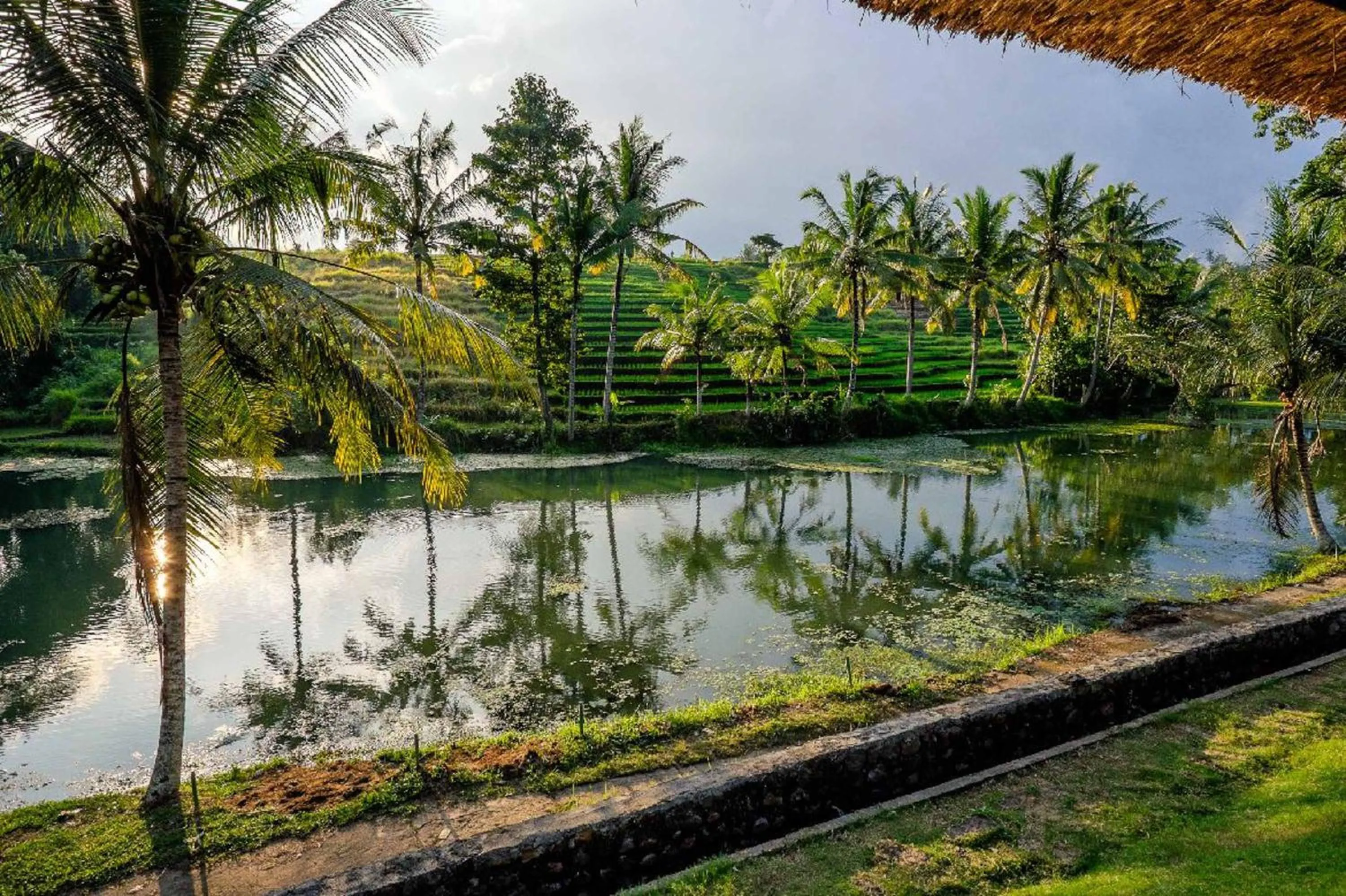 Lake view in Alam Taman Villa