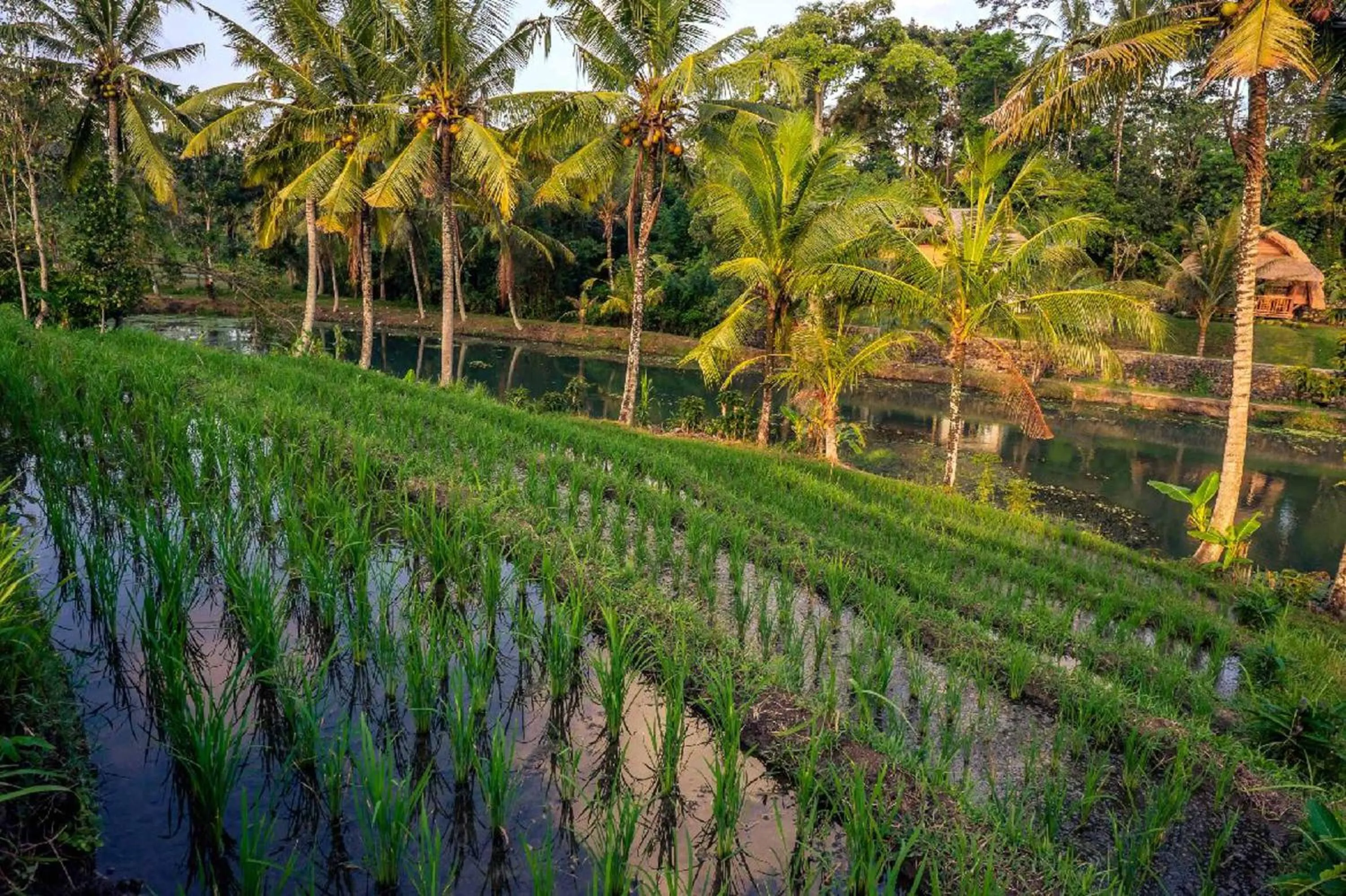 Area and facilities in Alam Taman Villa