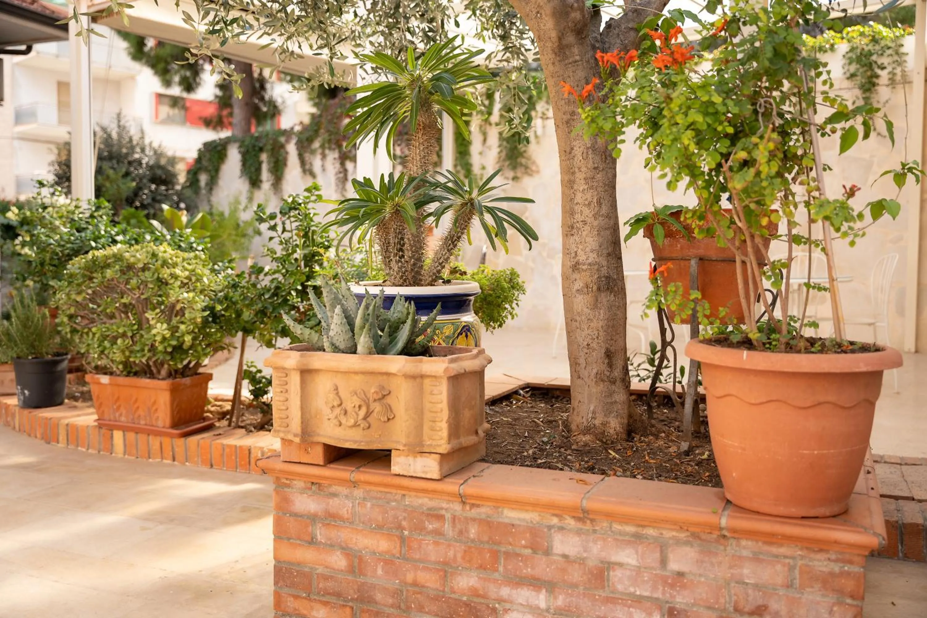 Garden in B&B Cumpari Turiddu