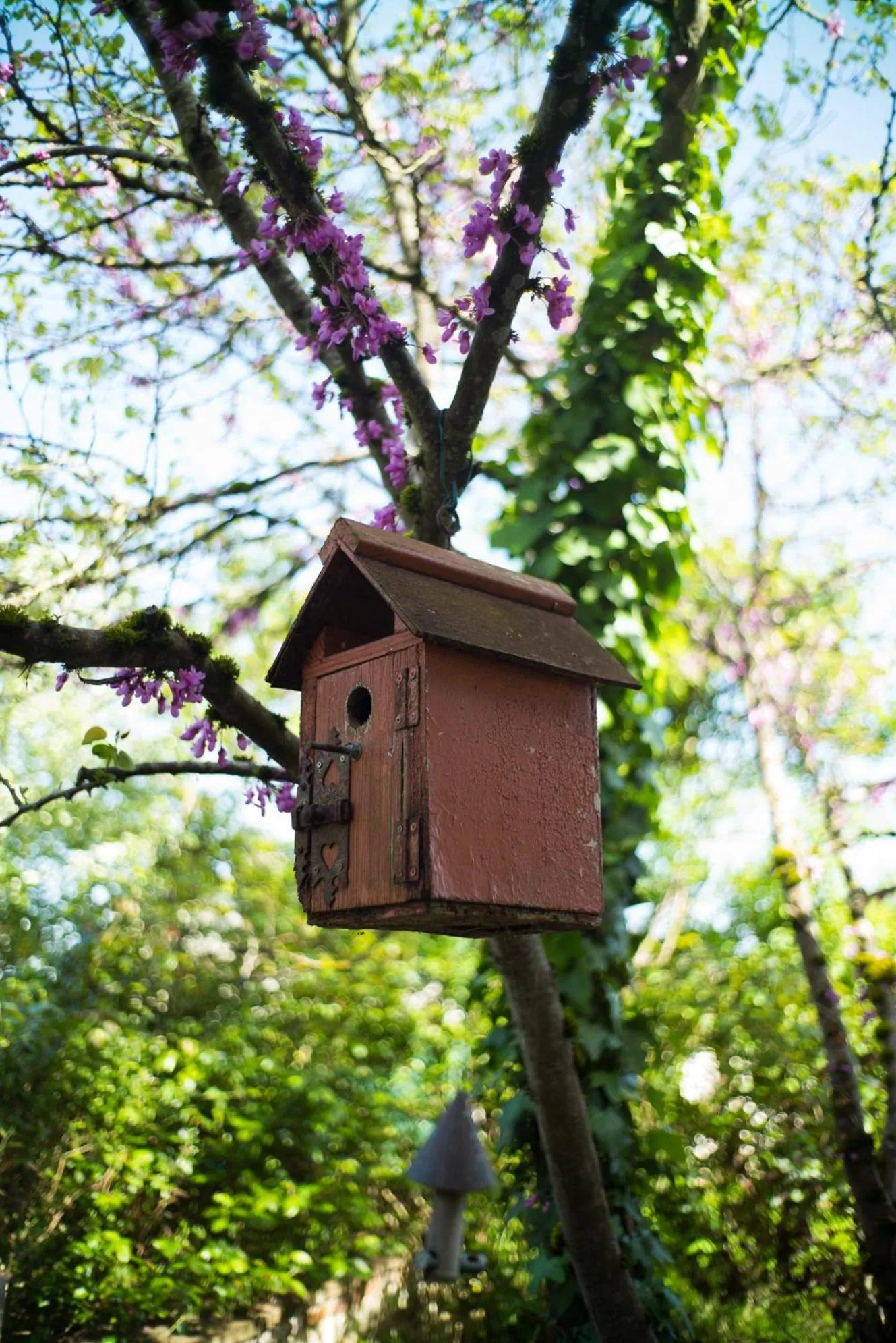 Property building in Absolut Oiseaux