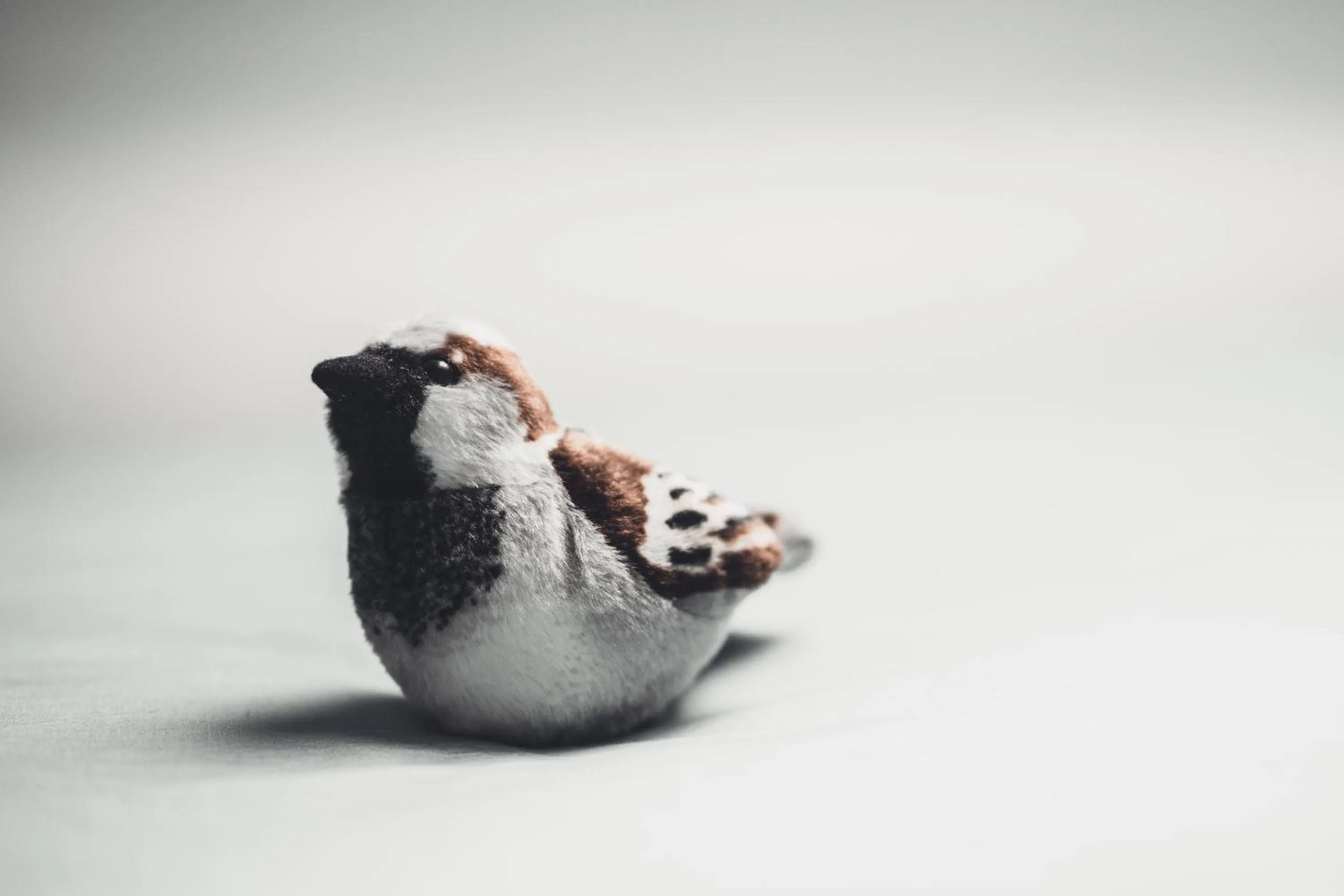 Property logo or sign in Absolut Oiseaux