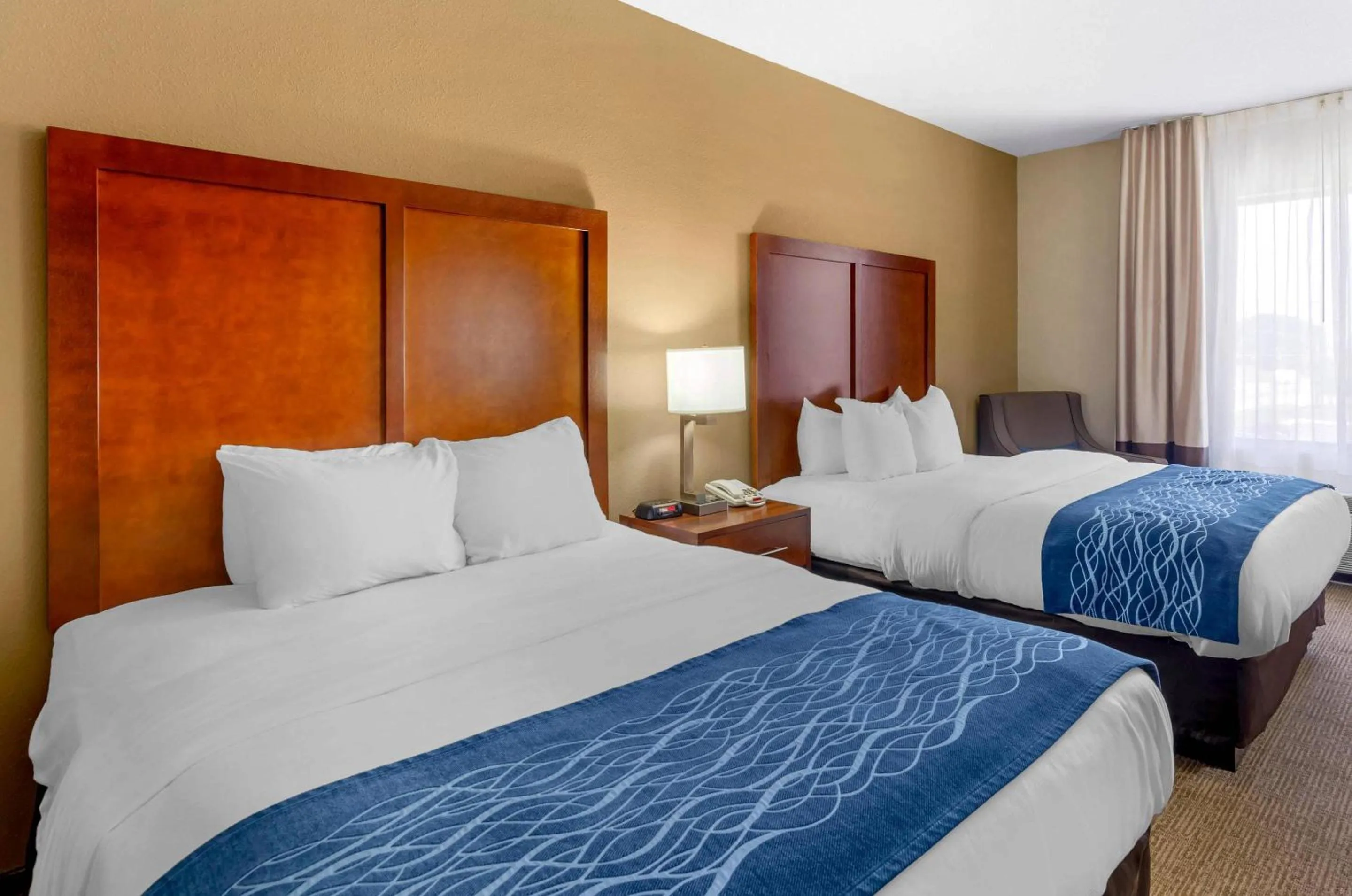 Bedroom, Bed in Comfort Inn & Suites Lynchburg Airport - University Area