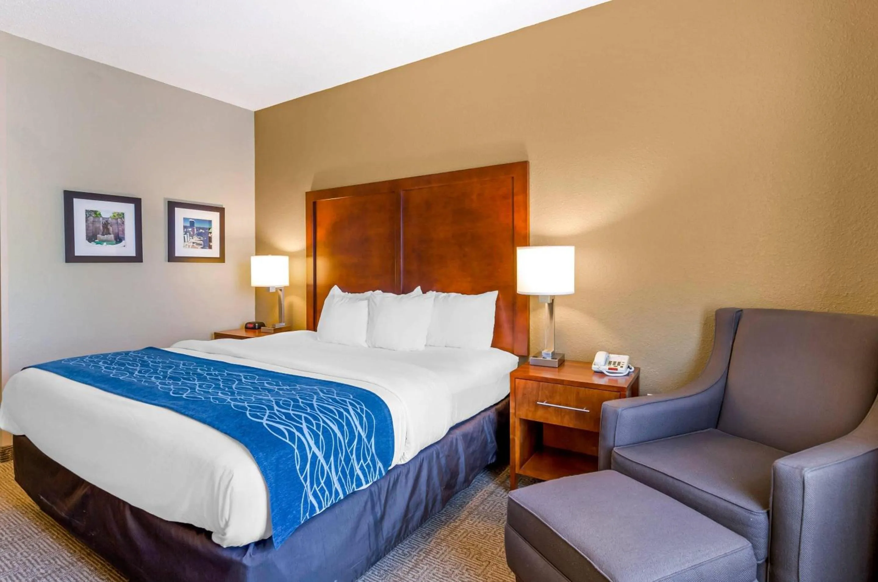 Bedroom, Bed in Comfort Inn & Suites Lynchburg Airport - University Area
