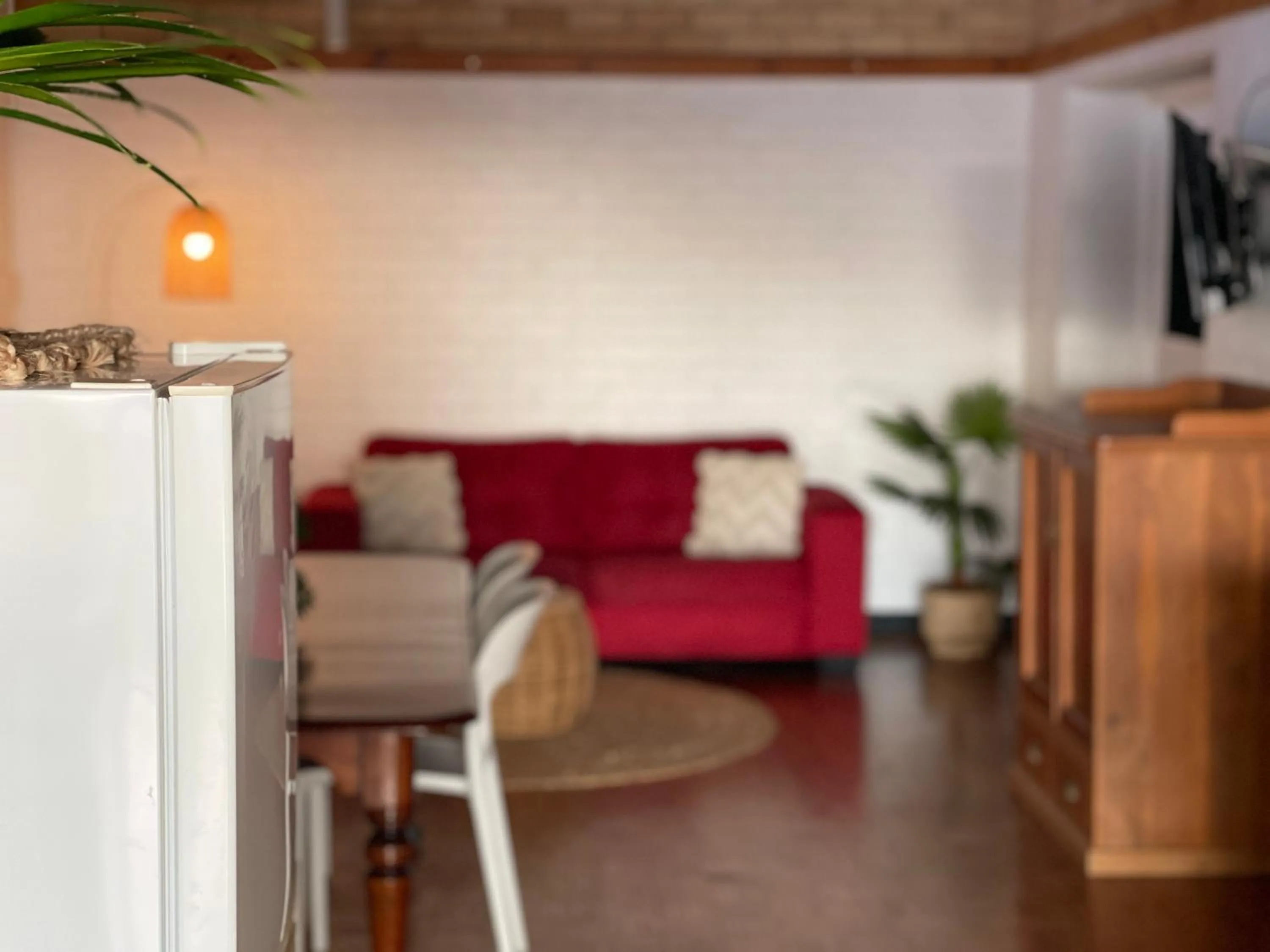 TV and multimedia in The Stella