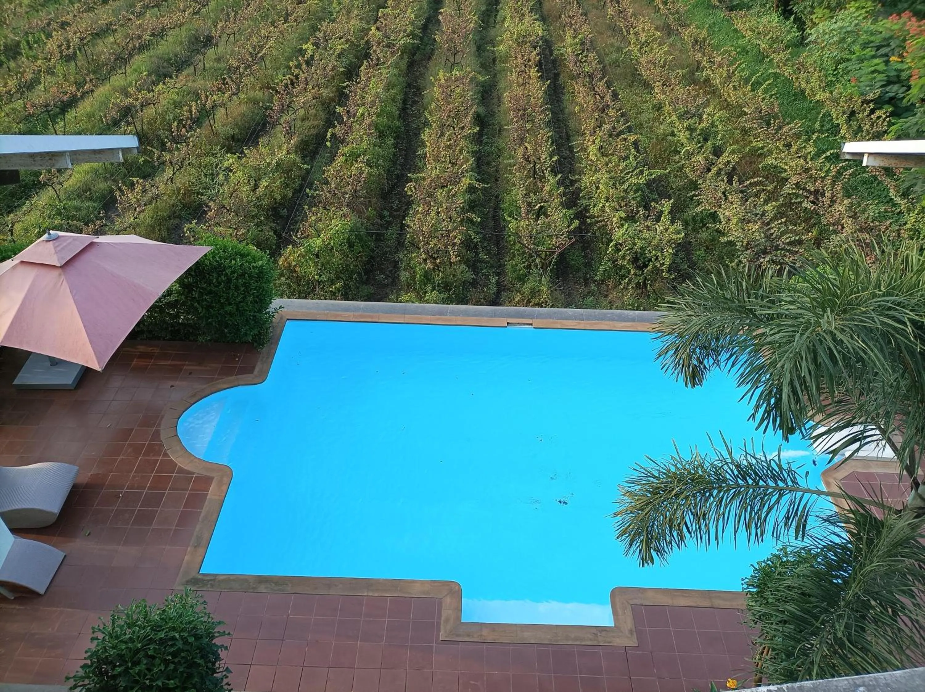 Pool view in Regenta Resort Soma Vine Village Nashik