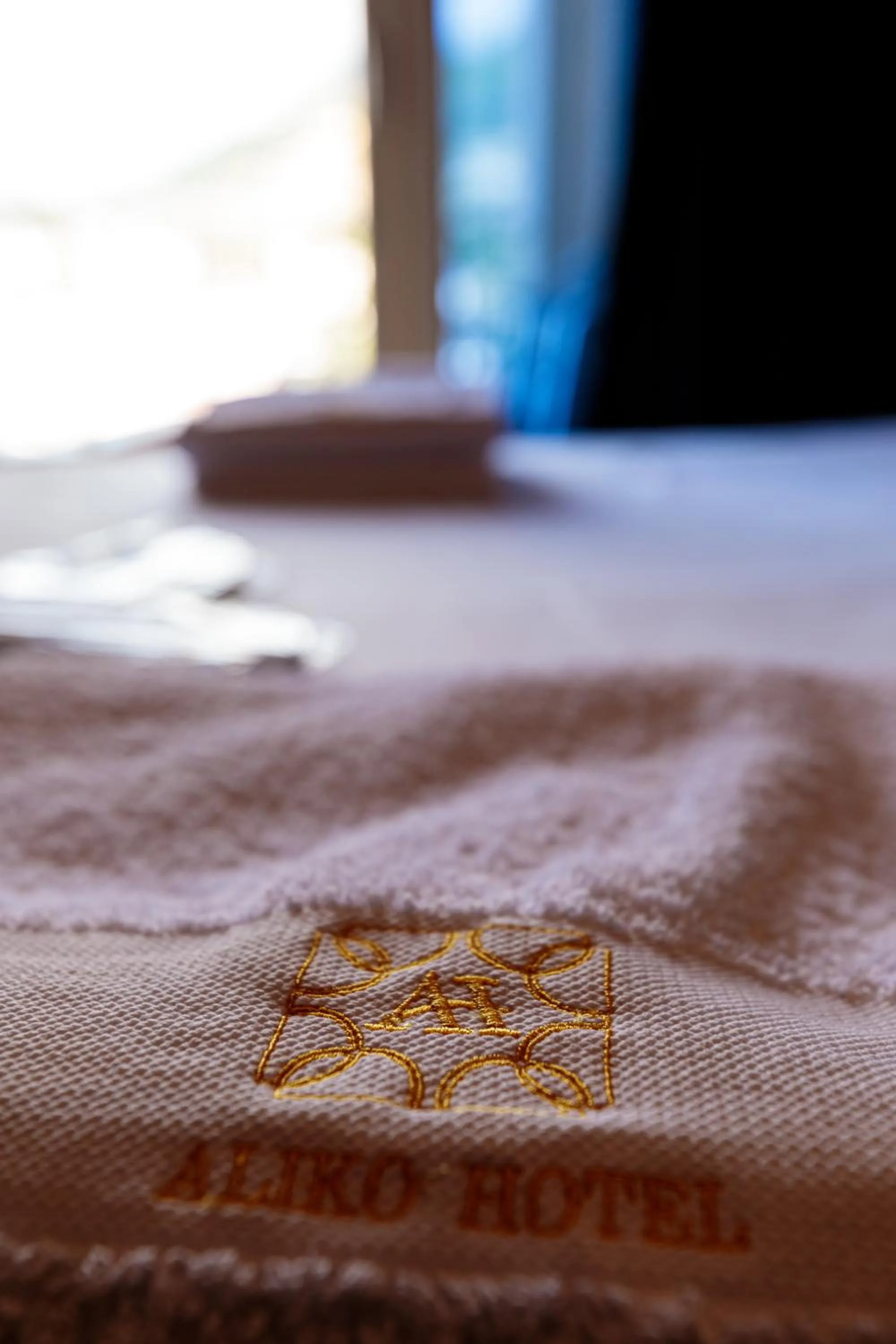 Property logo or sign in Aliko Hotel