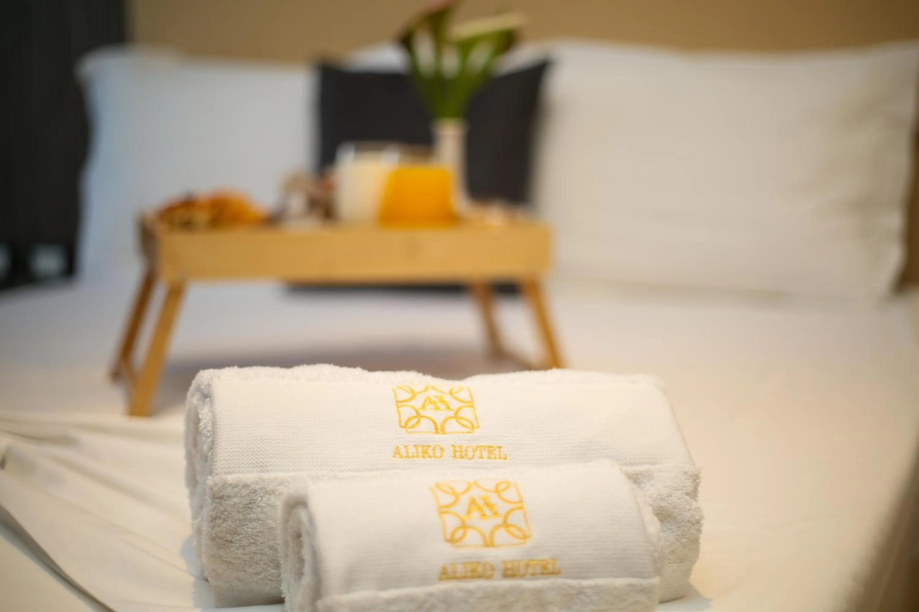 Property logo or sign in Aliko Hotel