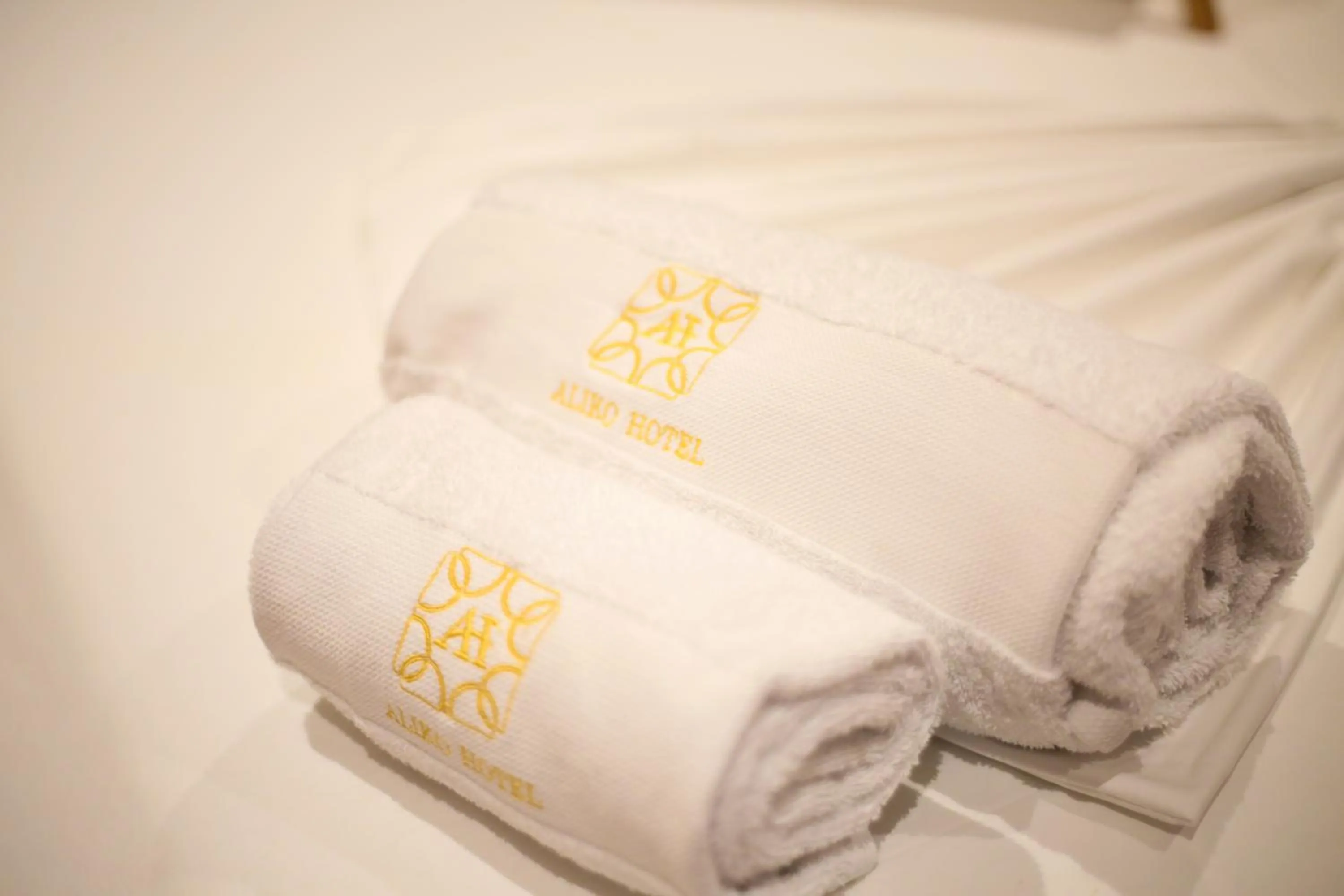 Property logo or sign in Aliko Hotel