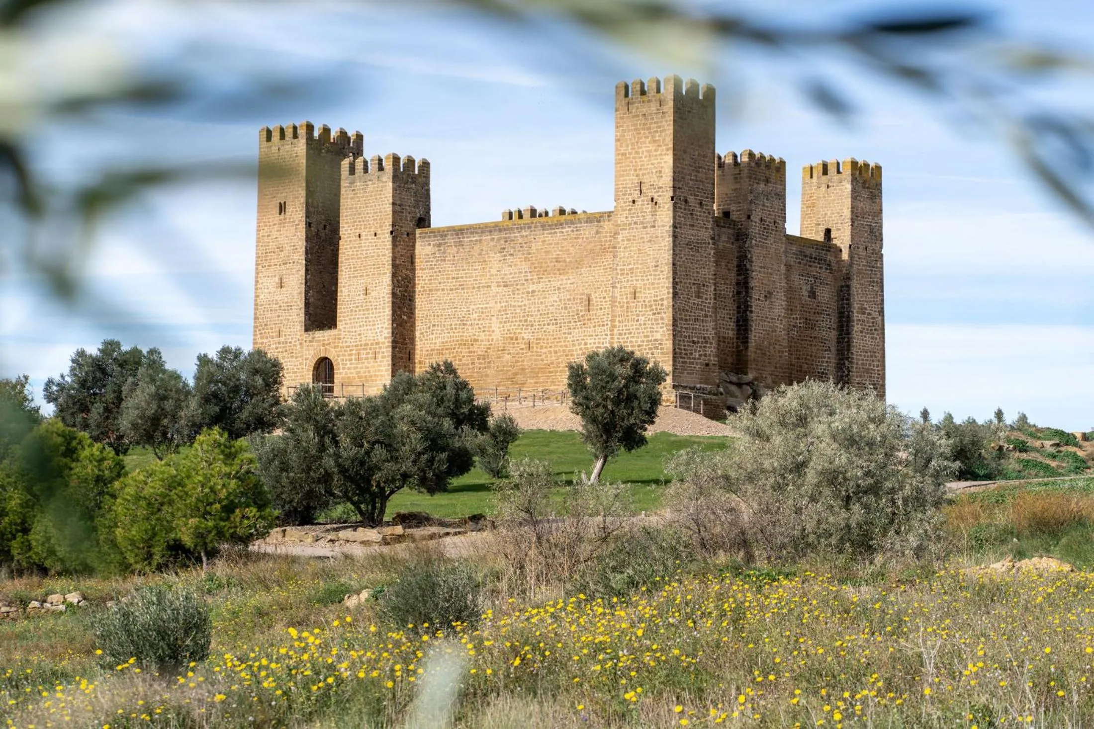 Nearby landmark in Parador de Sos del Rey Católico