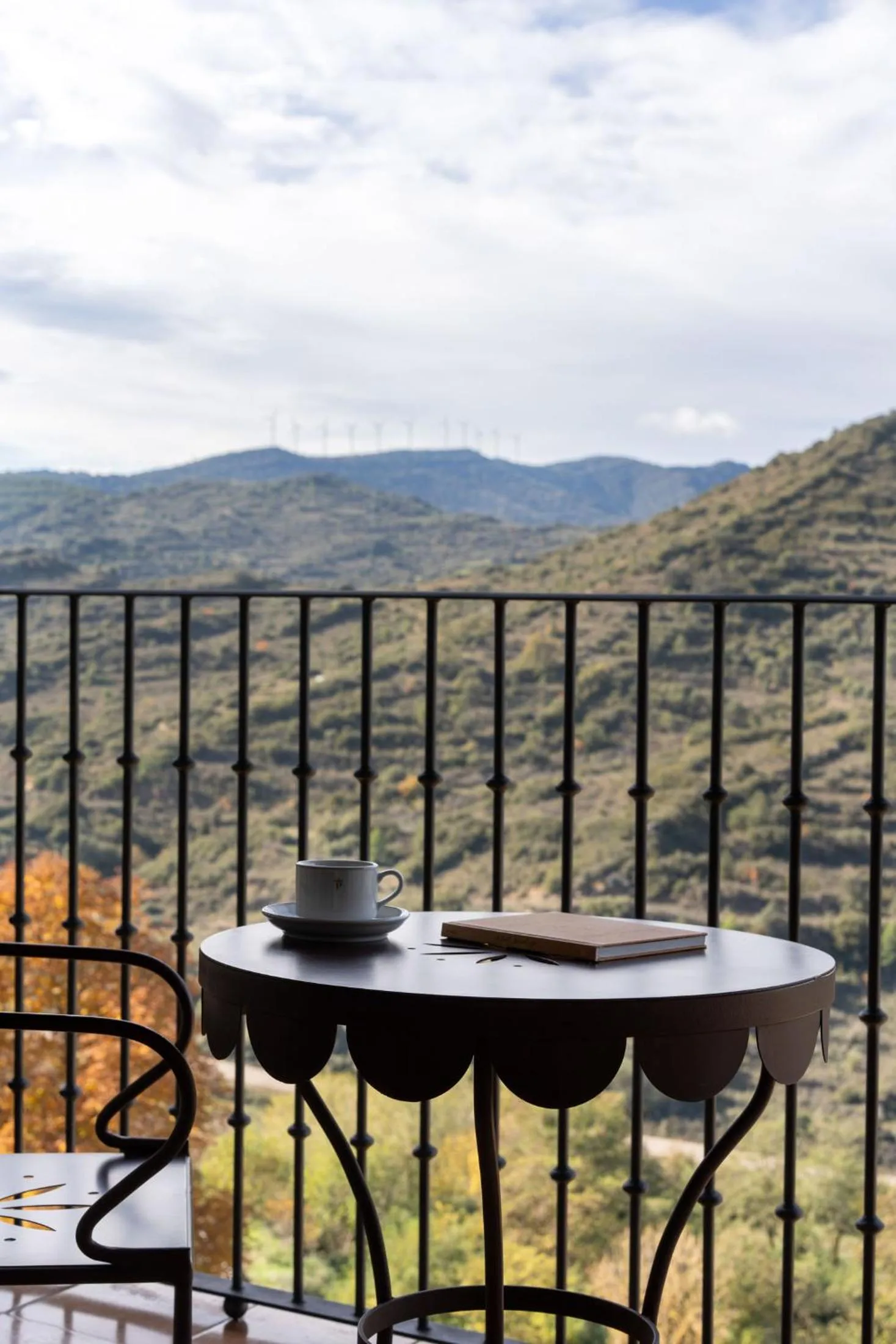 View (from property/room) in Parador de Sos del Rey Católico