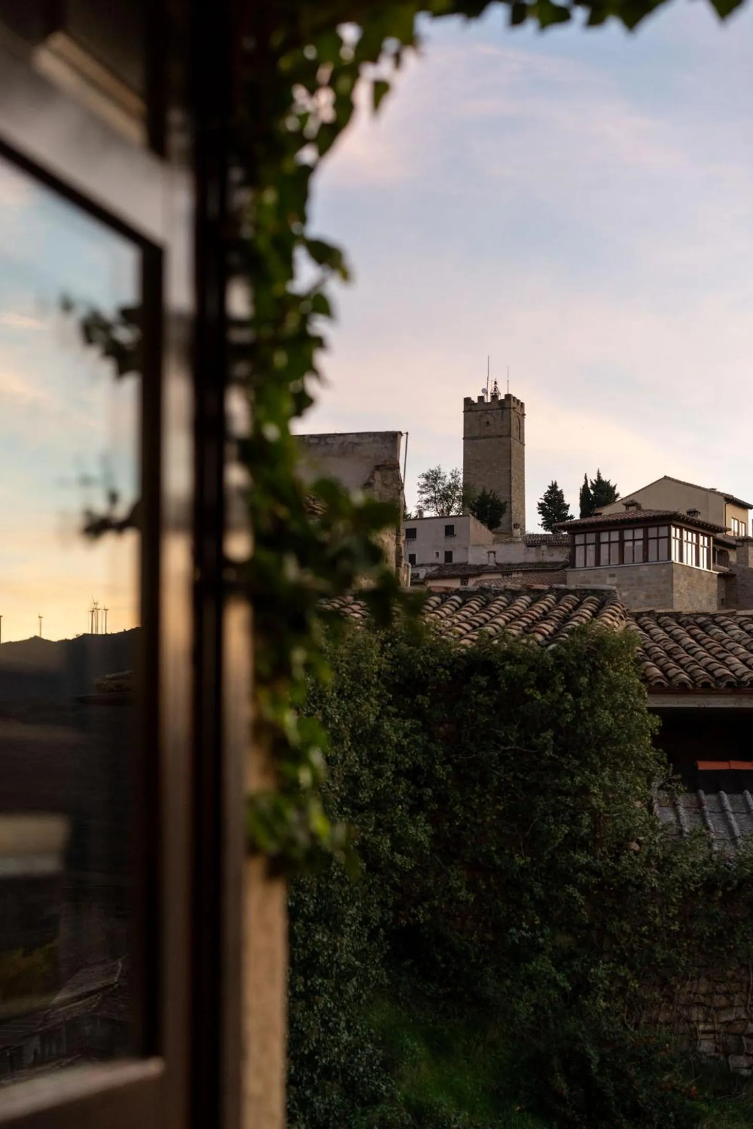 View (from property/room) in Parador de Sos del Rey Católico