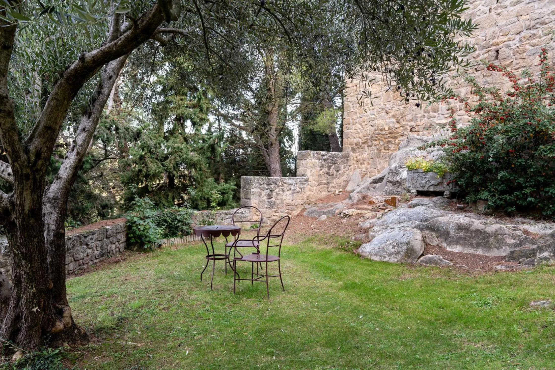 Garden in Parador de Sos del Rey Católico