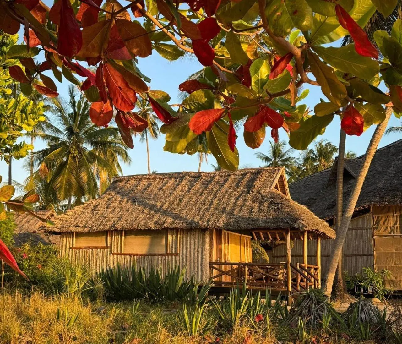 View (from property/room) in Barry's Beach Resort