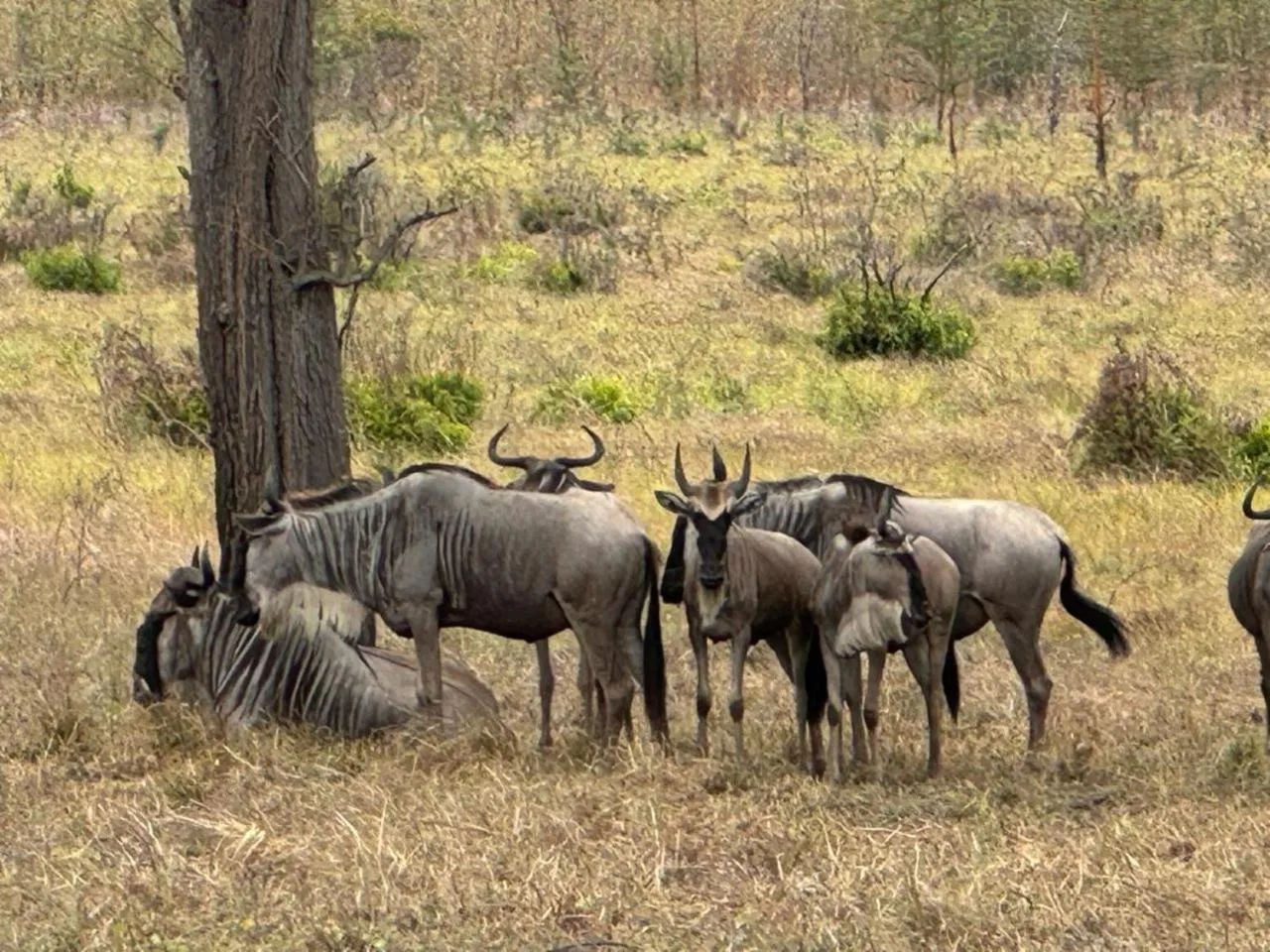 Property building in Barry's Beach Resort