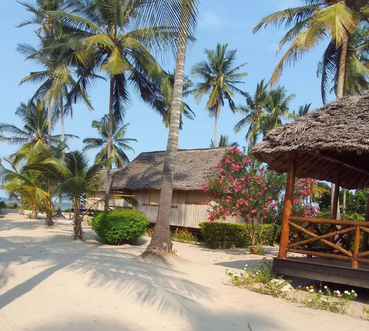 View (from property/room) in Barry's Beach Resort