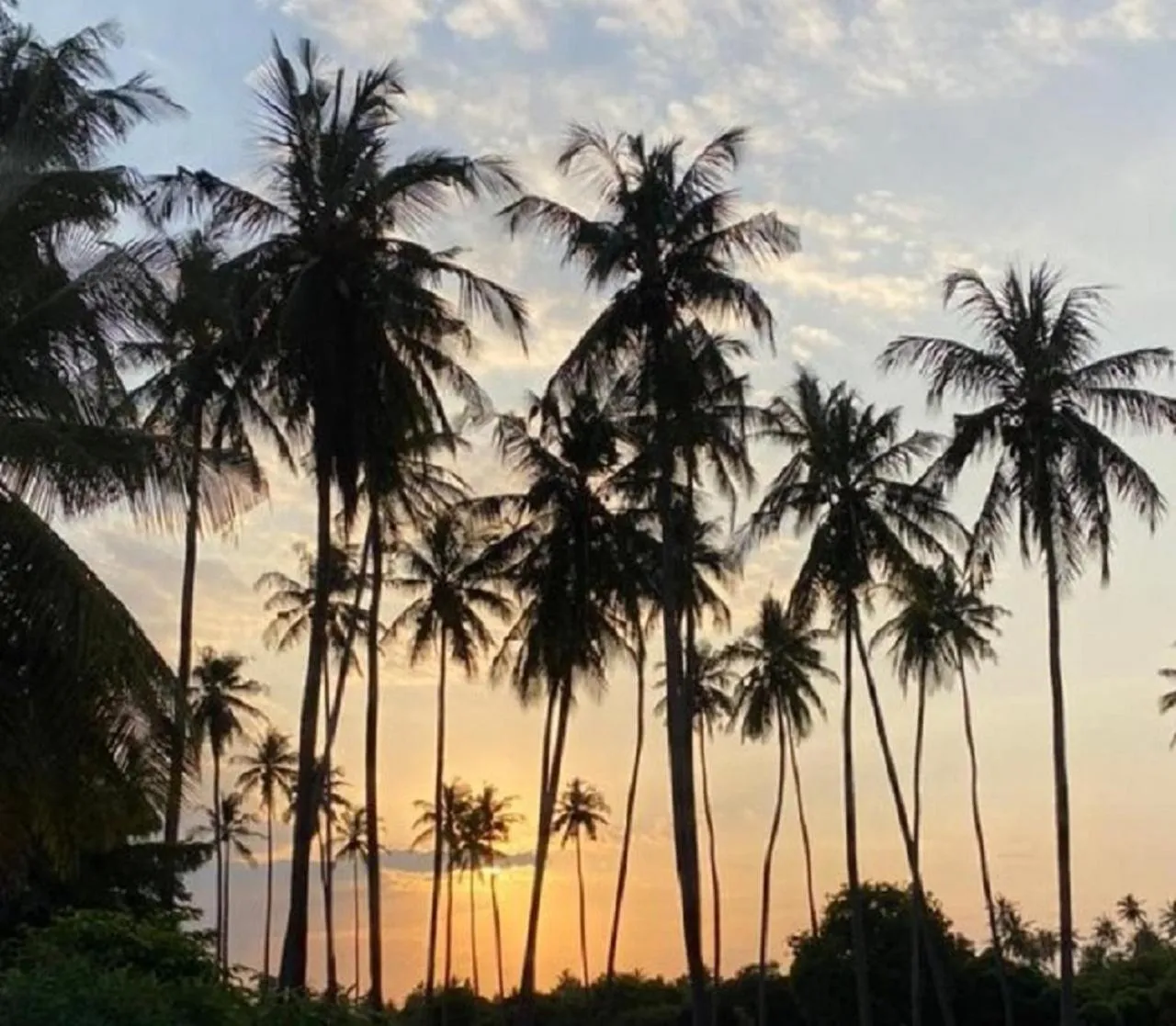 Sunset in Barry's Beach Resort