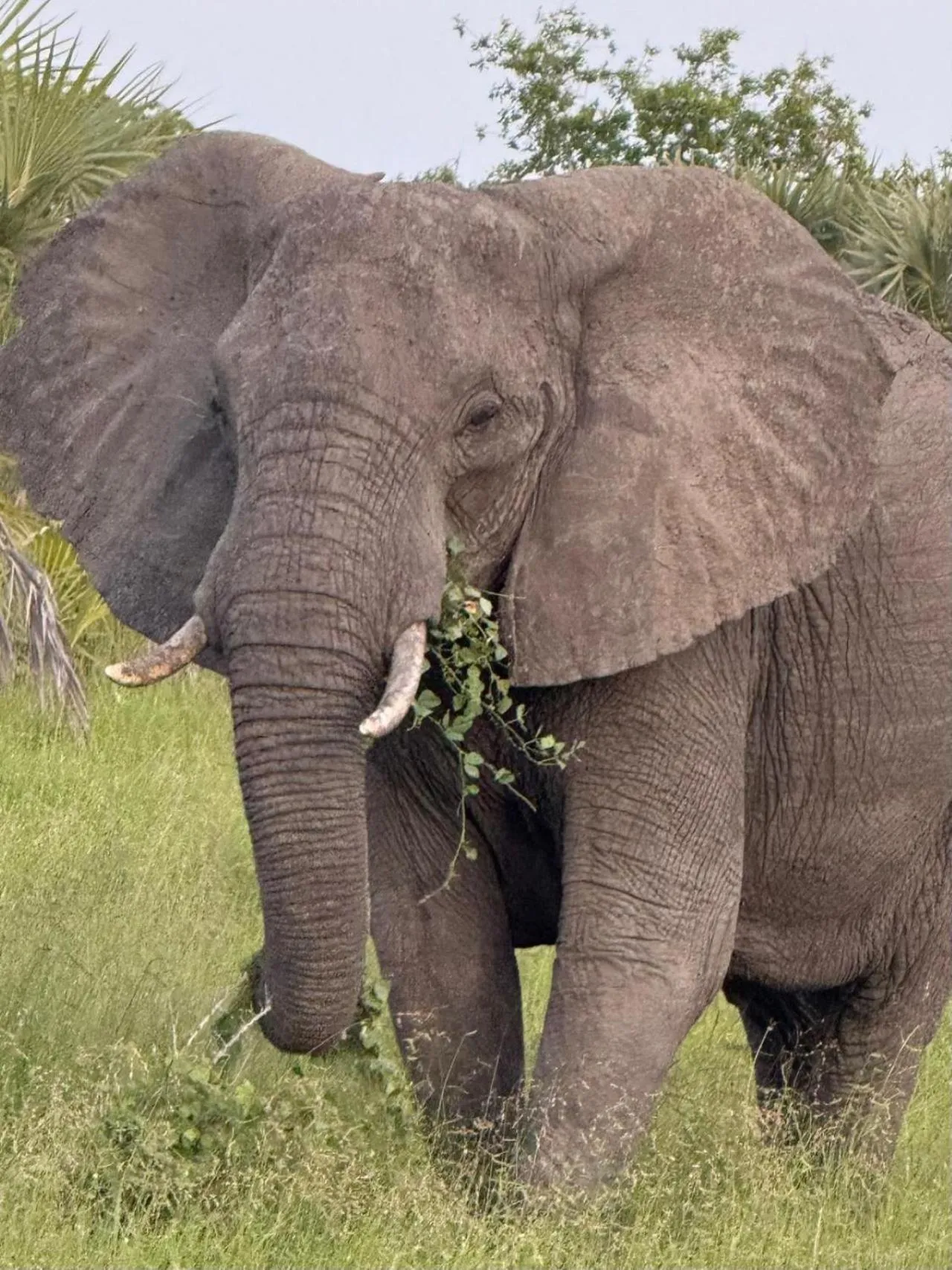 Natural landscape in Barry's Beach Resort