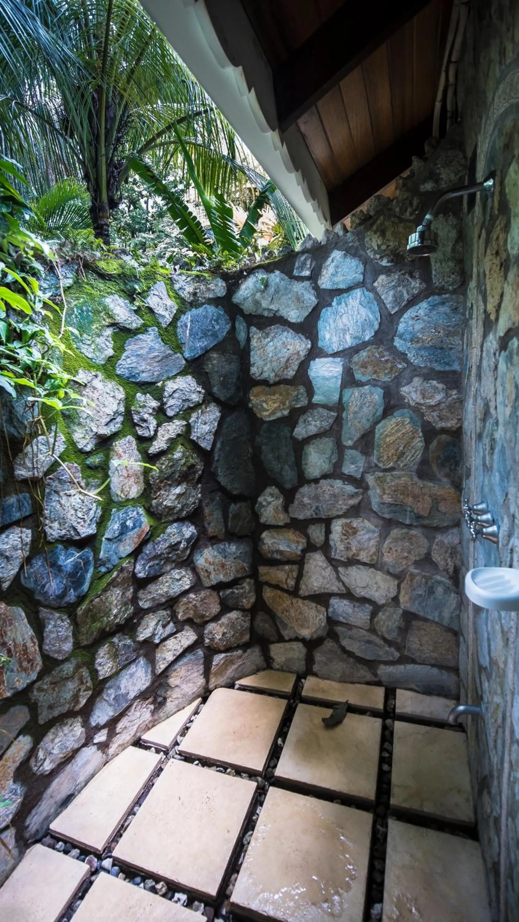 Shower in Hotel El Pequeño Gecko Verde