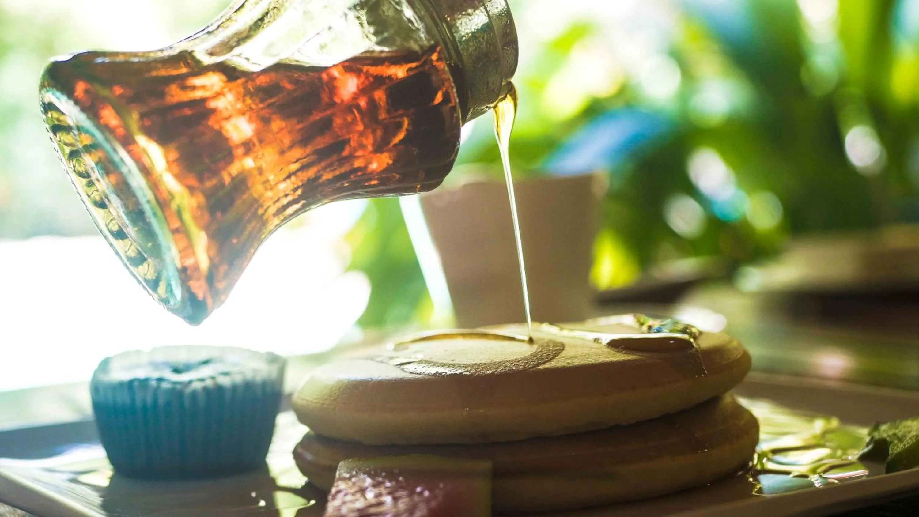 Restaurant/places to eat in Hotel El Pequeño Gecko Verde