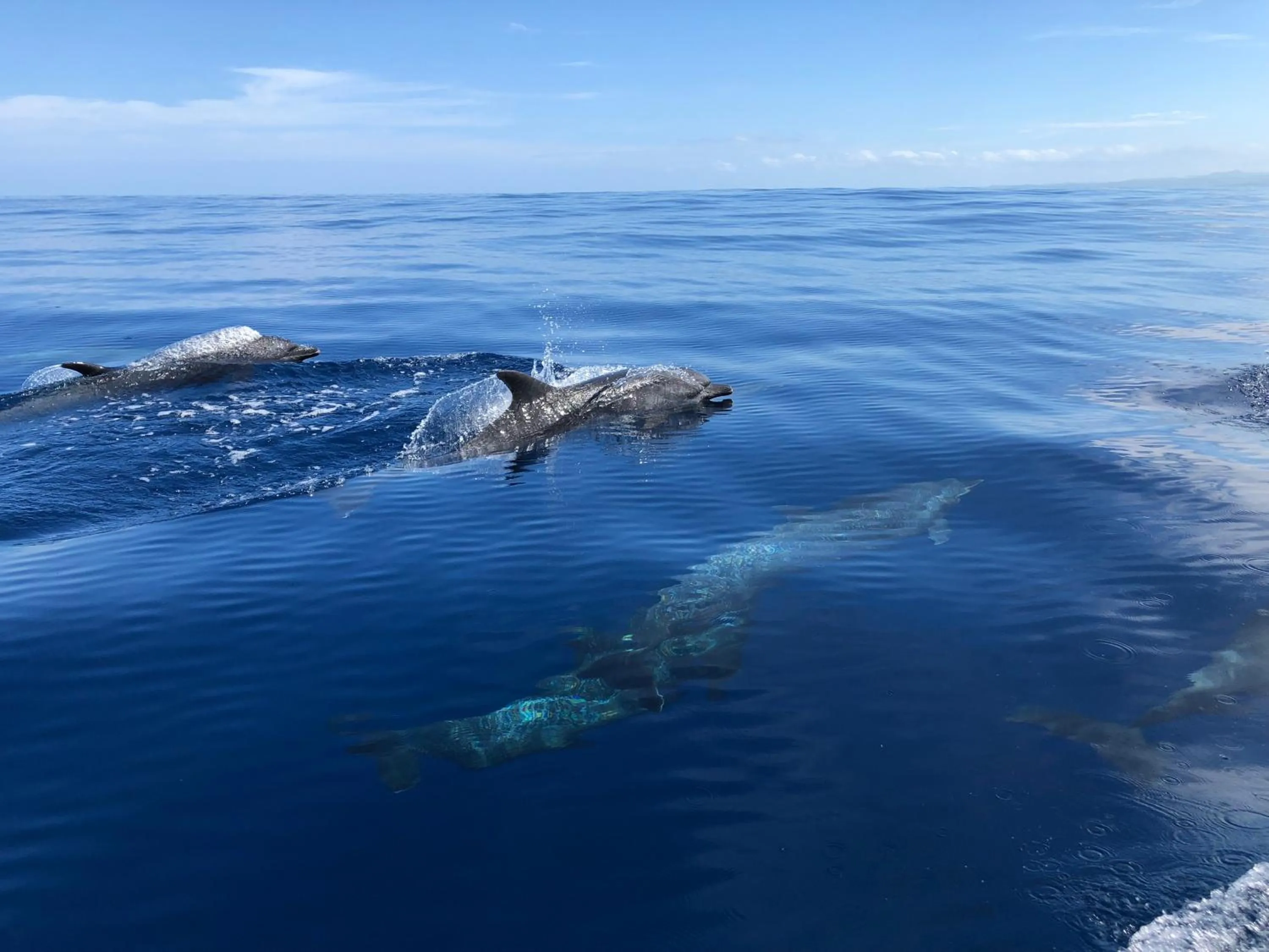 Natural landscape in Hotel El Pequeño Gecko Verde