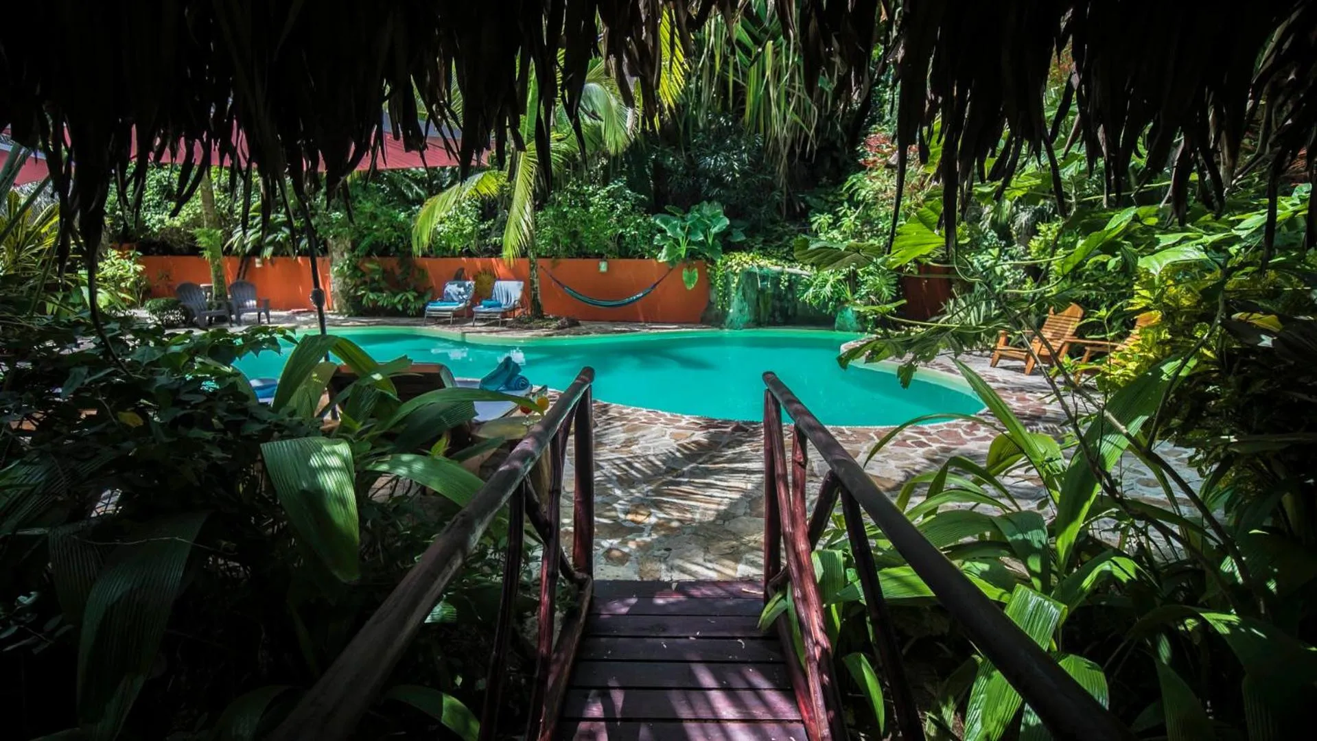 Pool view in Hotel El Pequeño Gecko Verde