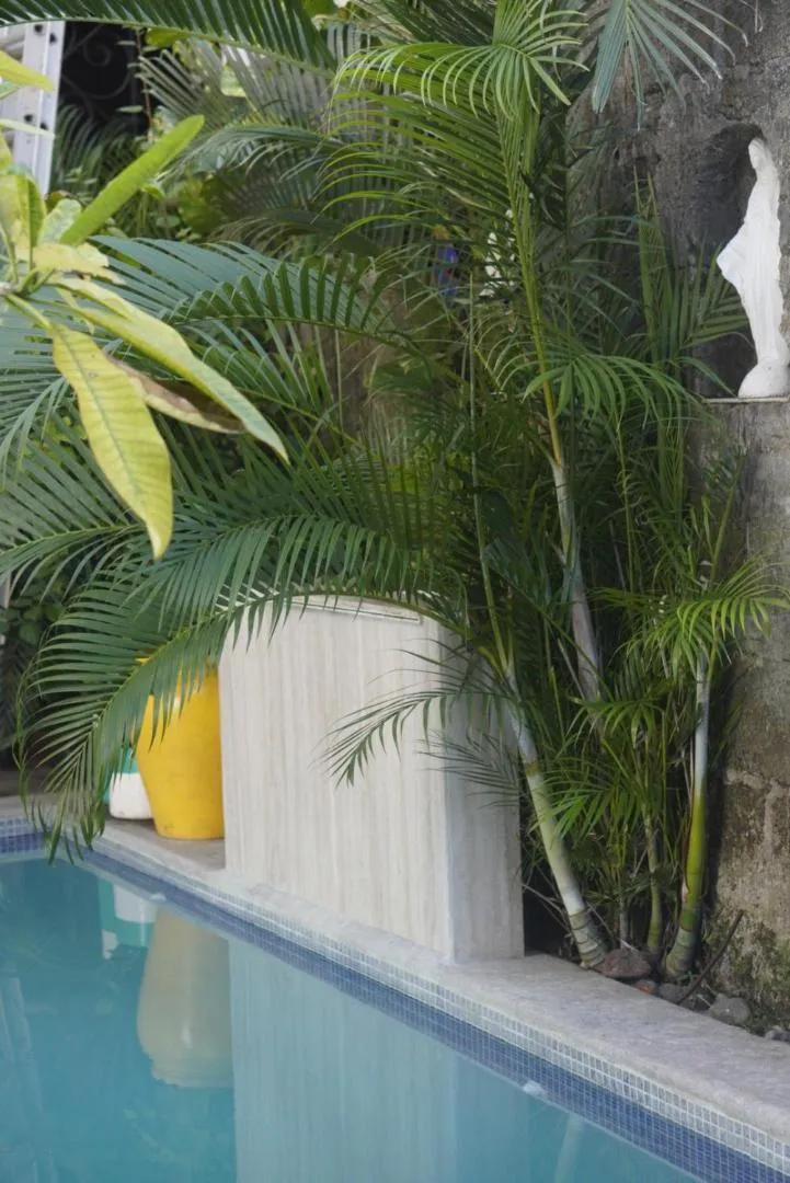 Hotel Los Balcones Leon