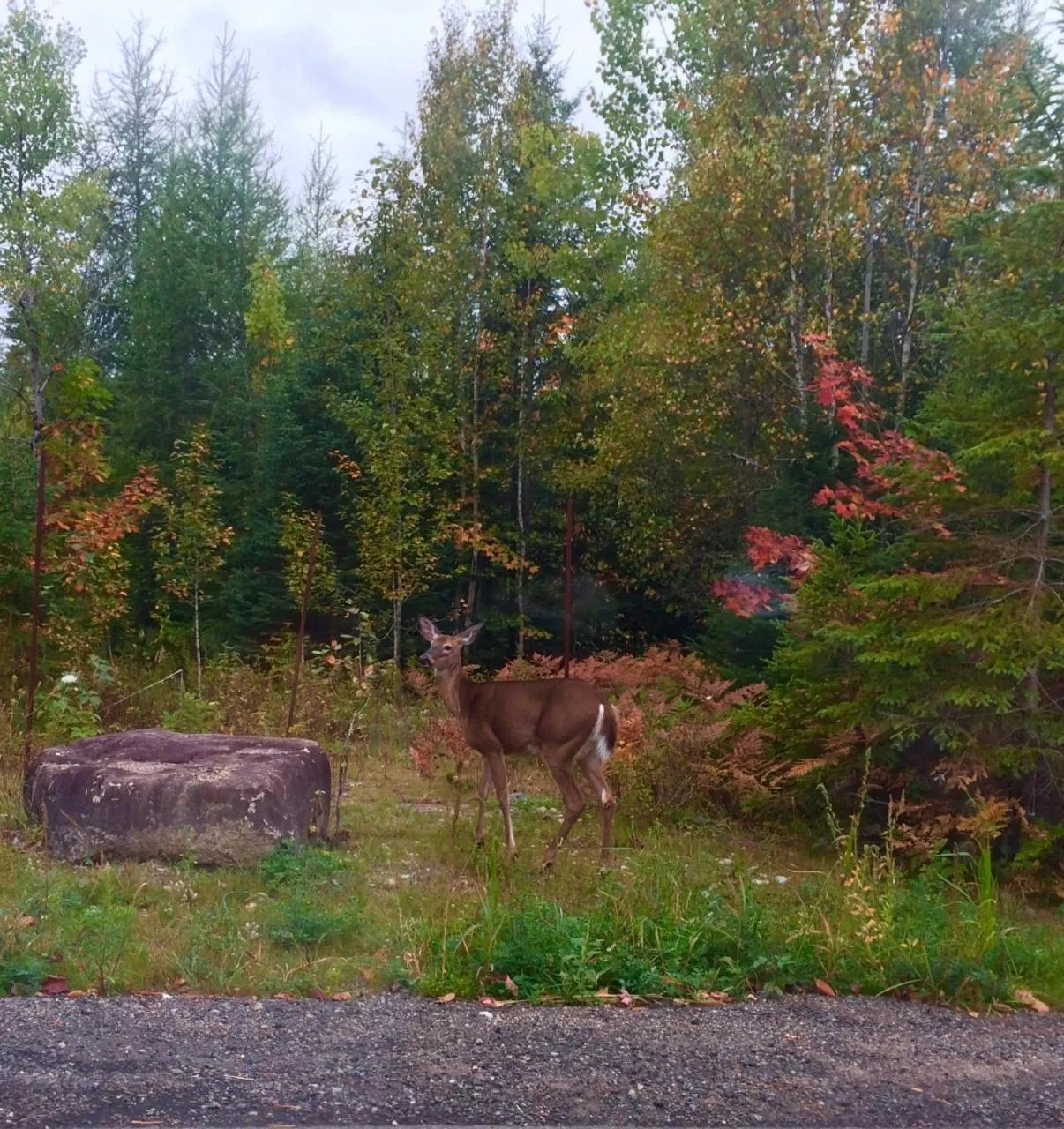 Excelsior Hôtel Spa Sainte-Adèle