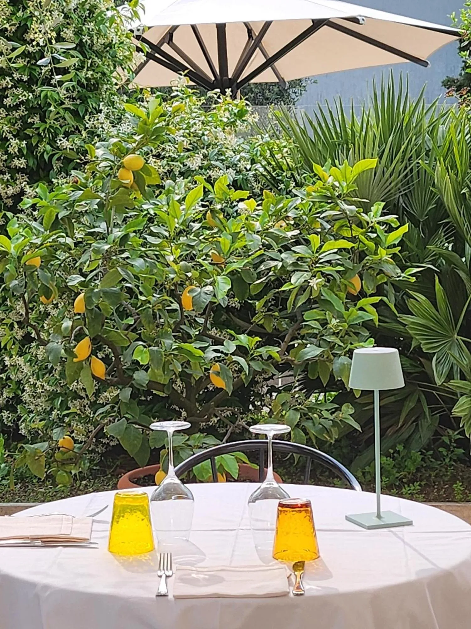 Restaurant/places to eat in Hotel 2 Palme