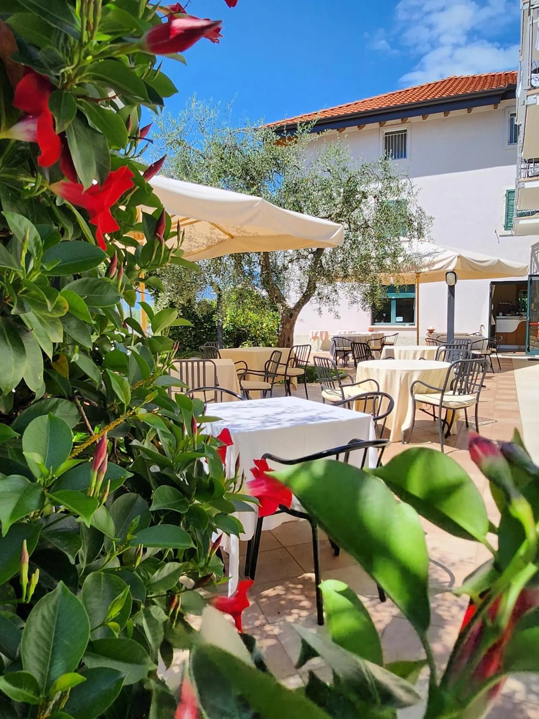 Restaurant/places to eat in Hotel 2 Palme