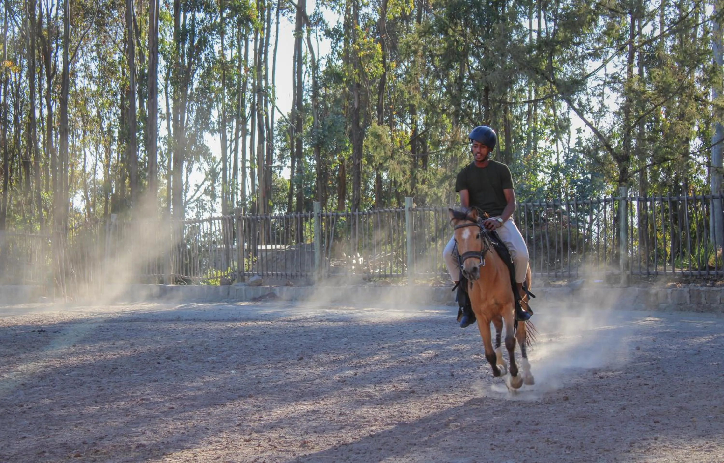 Horse-riding in Kuriftu Entoto Adventure Park
