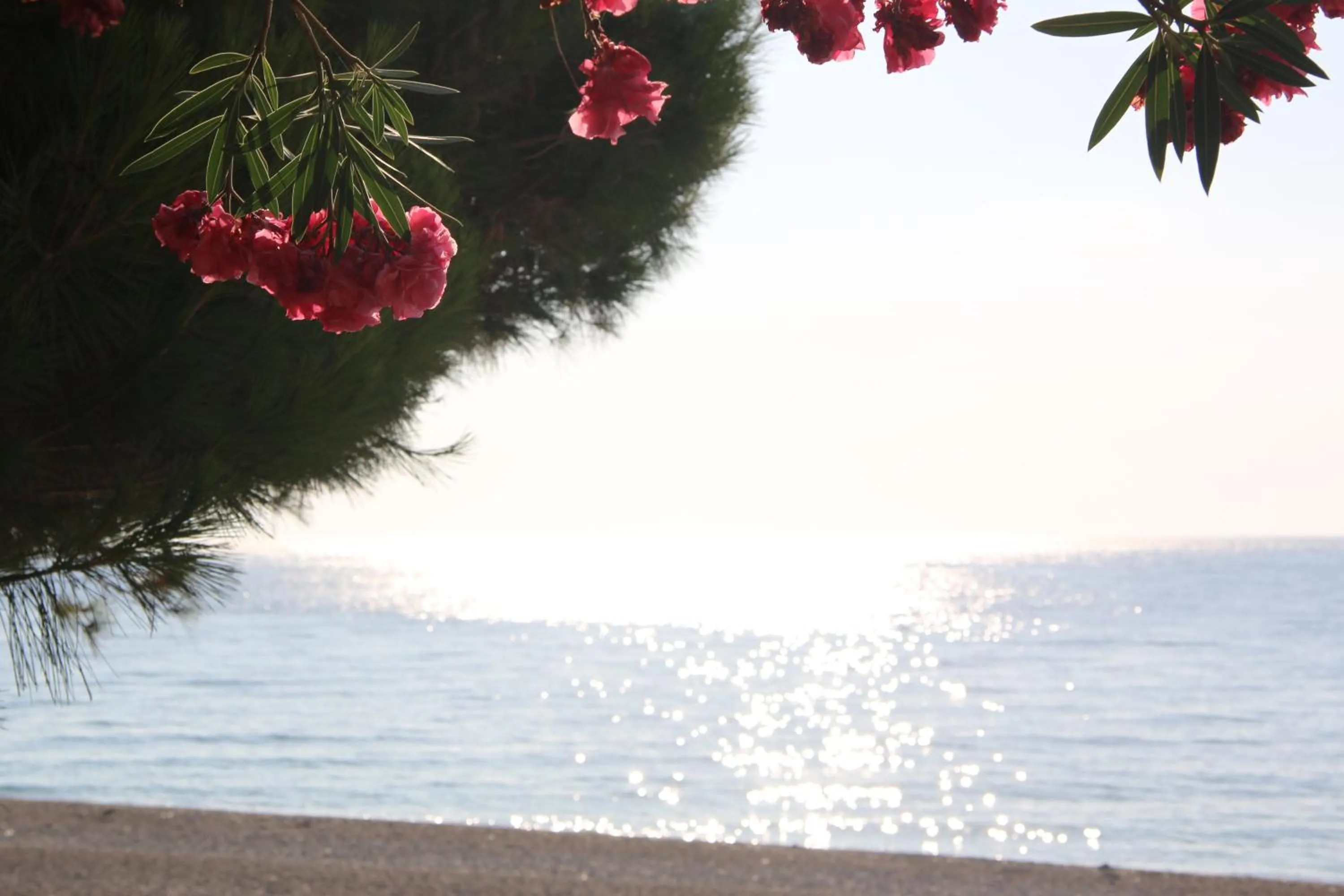 Day in ChrisMare Hotel