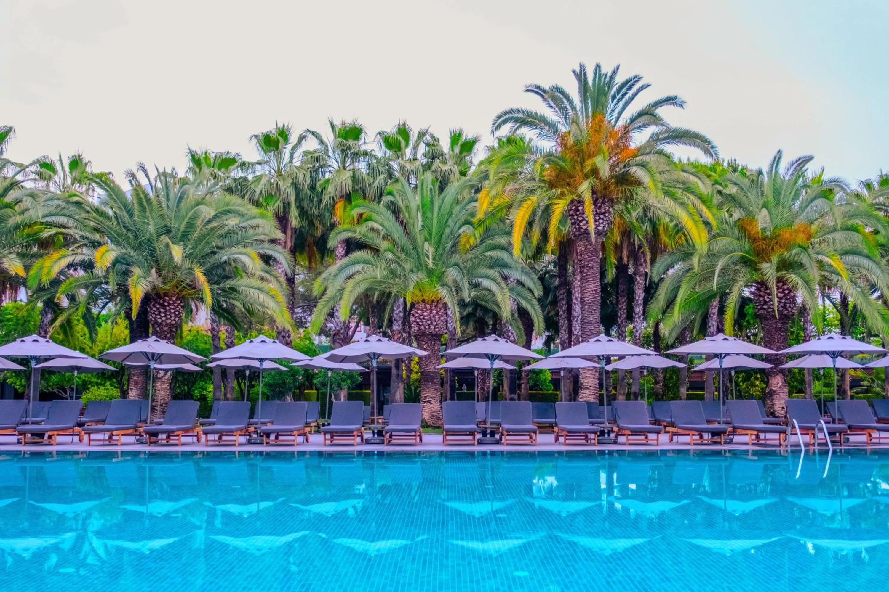 Swimming pool in Miramare Beach Hotel - Ultra All Inclusive