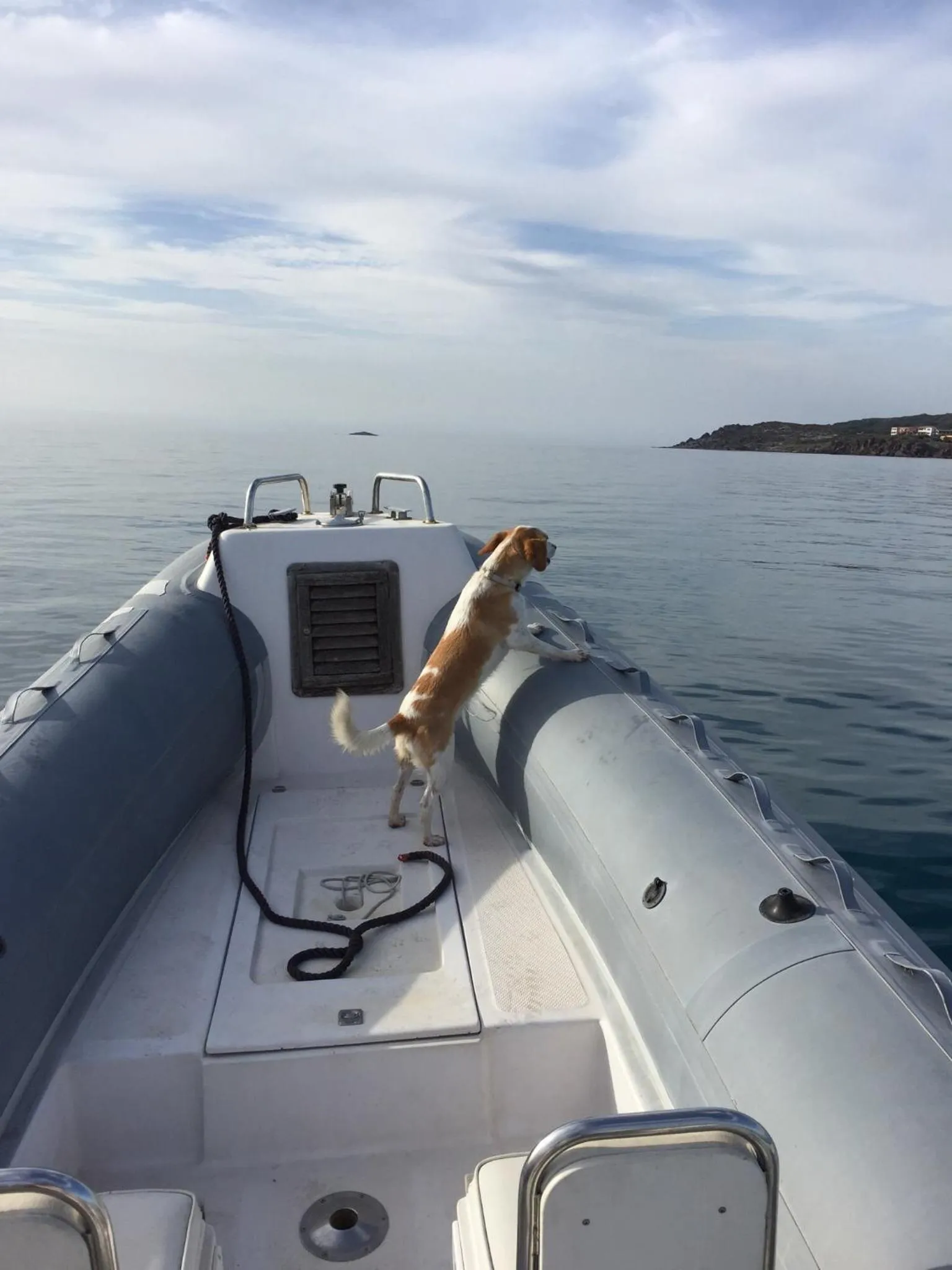 Staff in B&B BentueMari