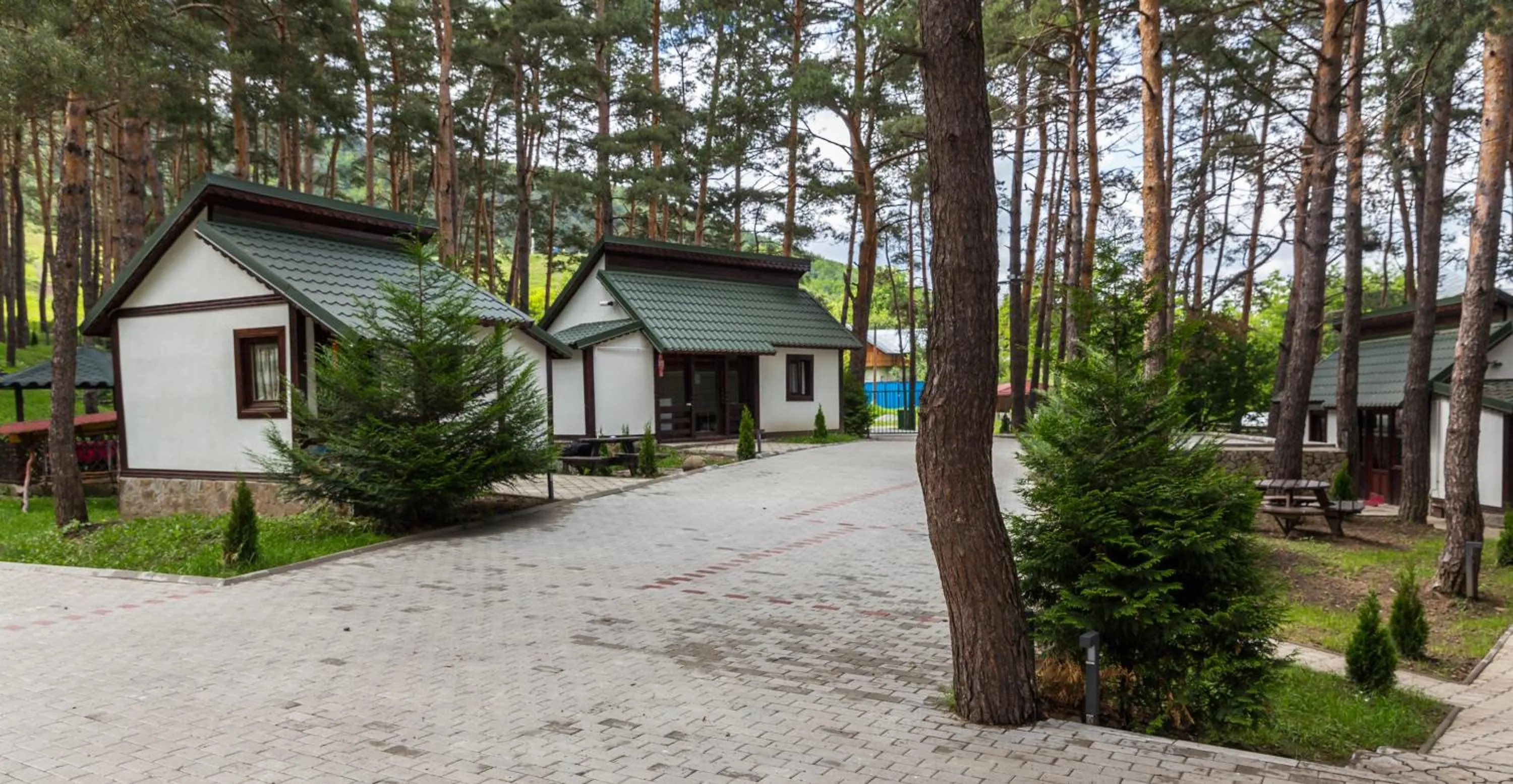 Other in Complex Parc Pini Moinesti