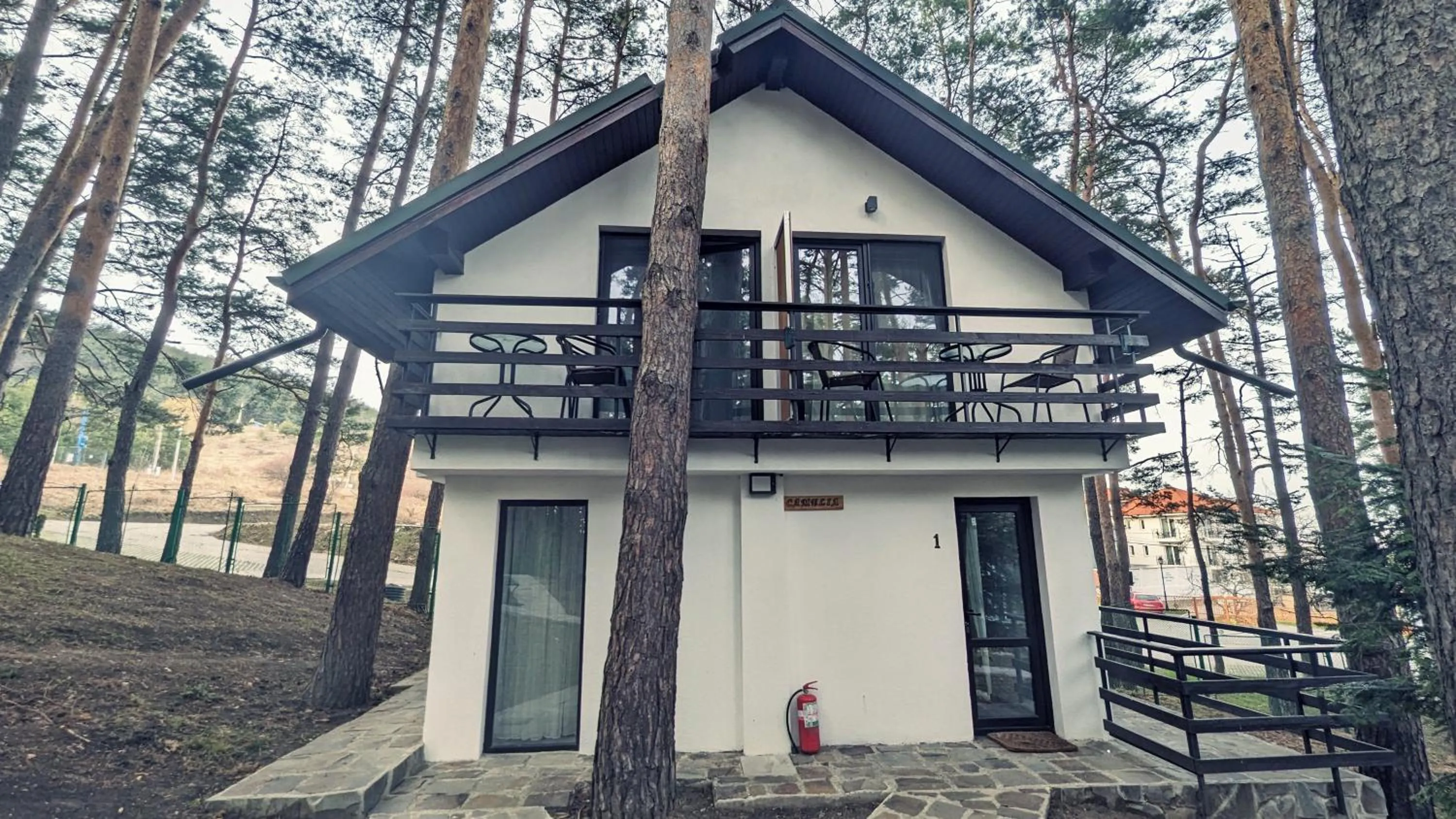 Complex Parc Pini Moinesti