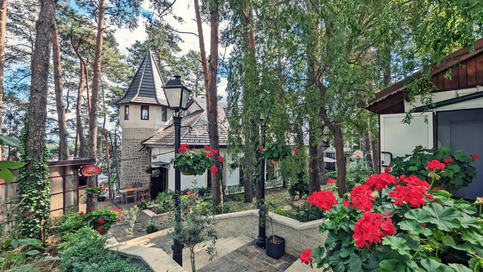 Complex Parc Pini Moinesti