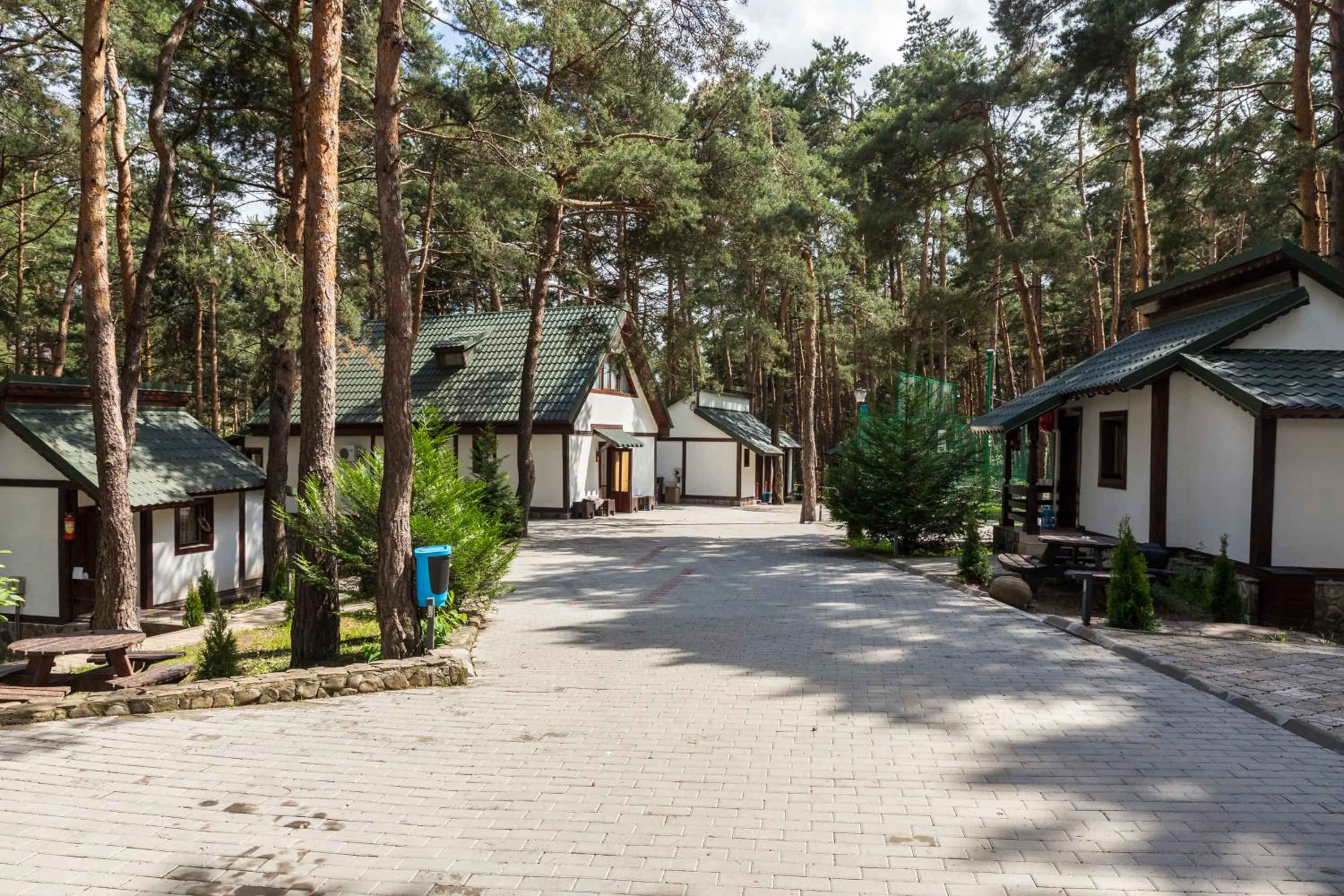 Area and facilities in Complex Parc Pini Moinesti